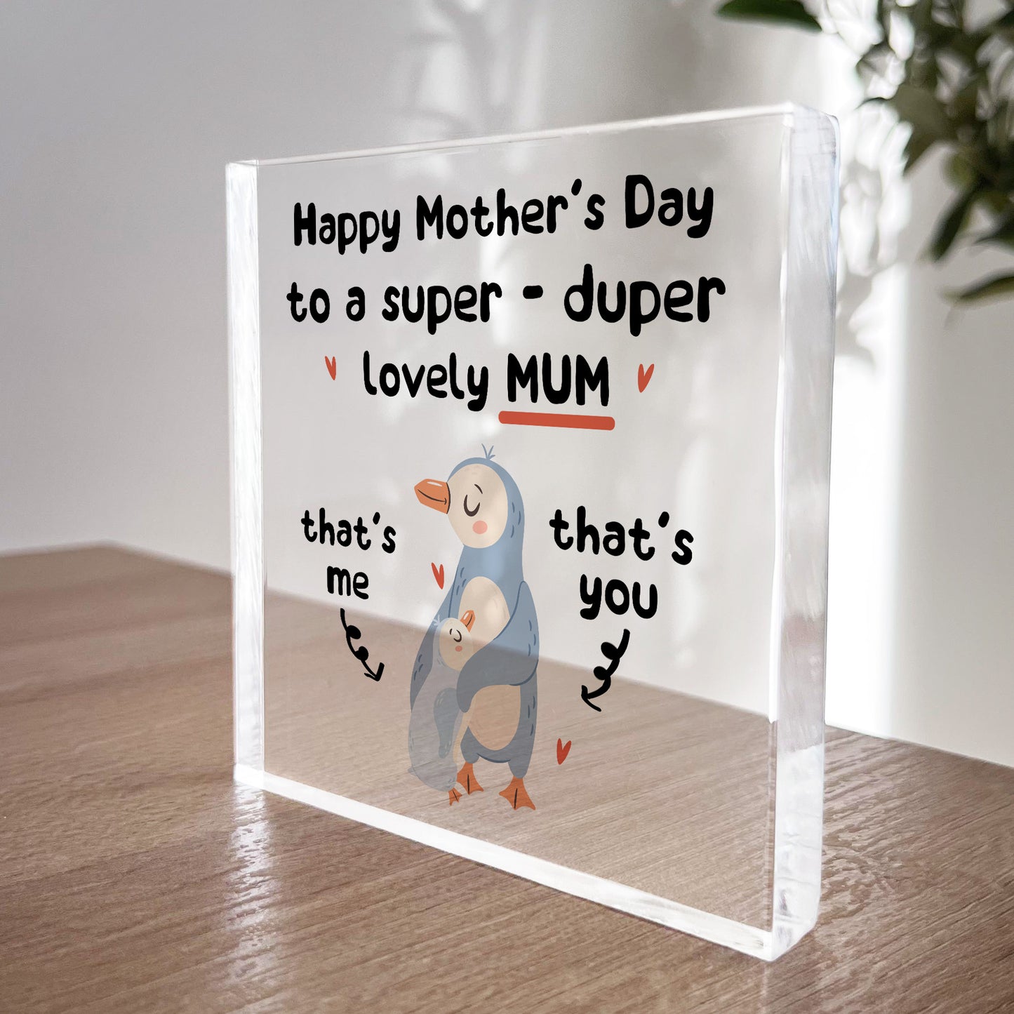 Mothers Day Gifts For Mum From Daughter Son Funny Gift For Mum