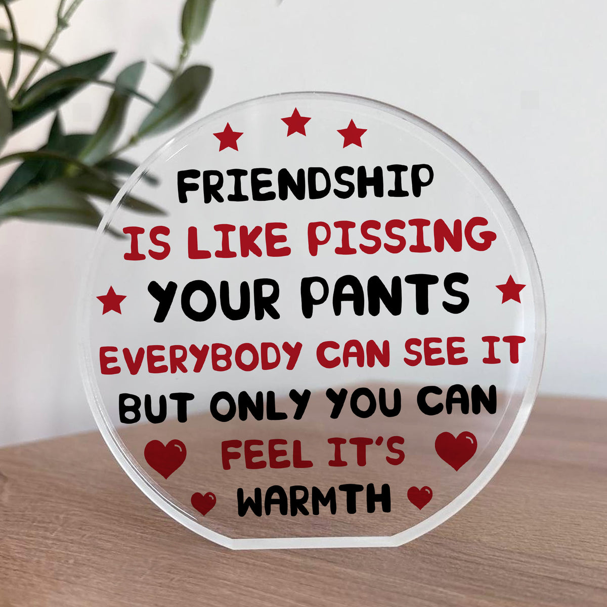 Funny Plaque For Friend Birthday Christmas Acrylic Plaque