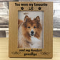Dog Memorial Photo Frame Gift 7x5 Picture Frame Dog Memorial
