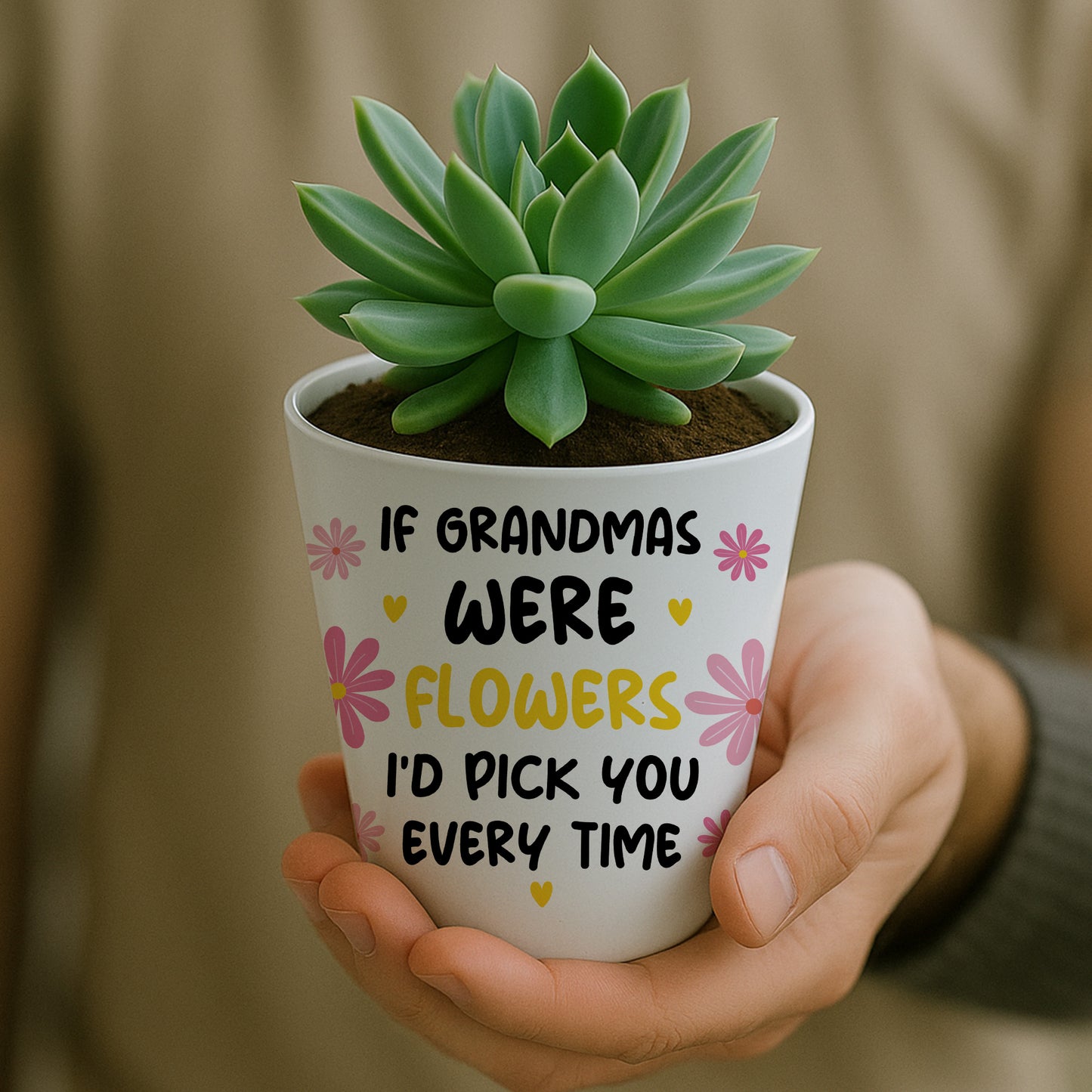 Gift For Grandma Birthday Christmas Card And Flower Pot