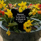 Mum Memorial Gifts Graveside Memorial Stake Loss of Mother Gifts
