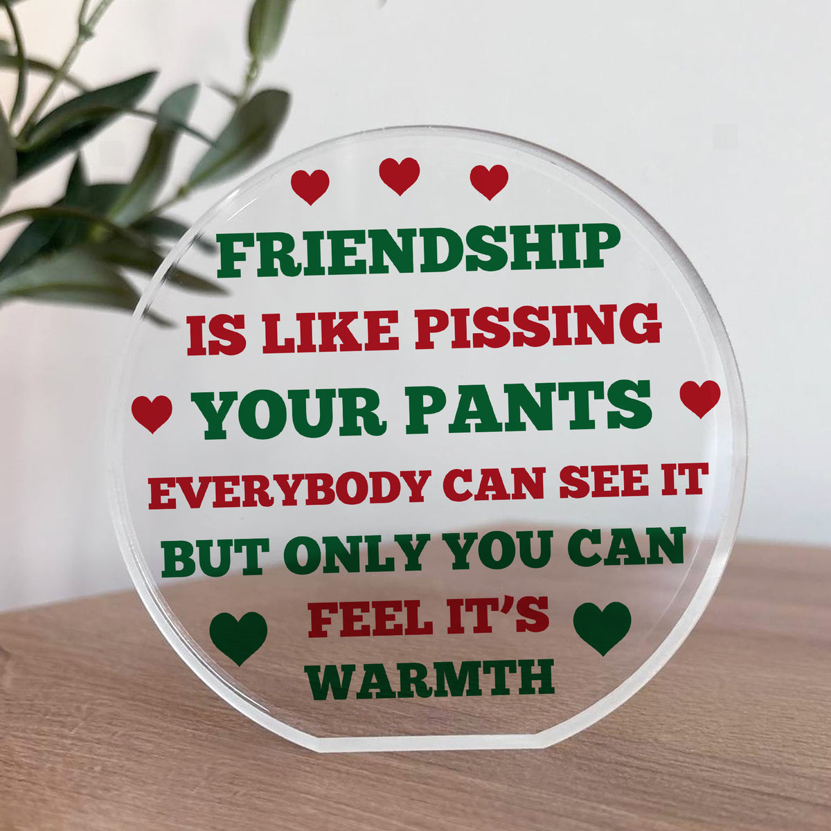 FUNNY Friendship Gift For Him Her Acrylic Plaque Special