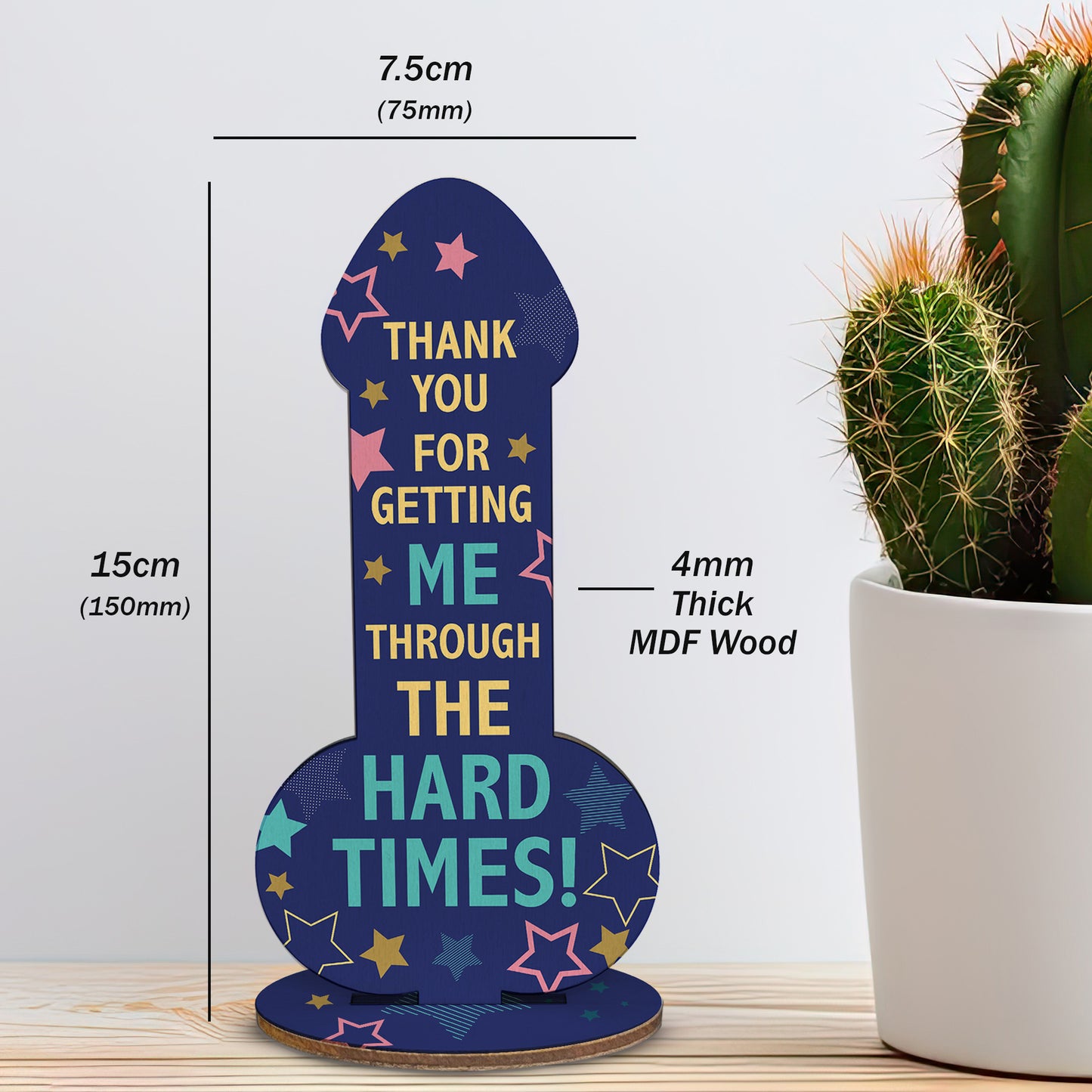Funny Friendship Plaque Thank You Gift For Friend Novelty Rude