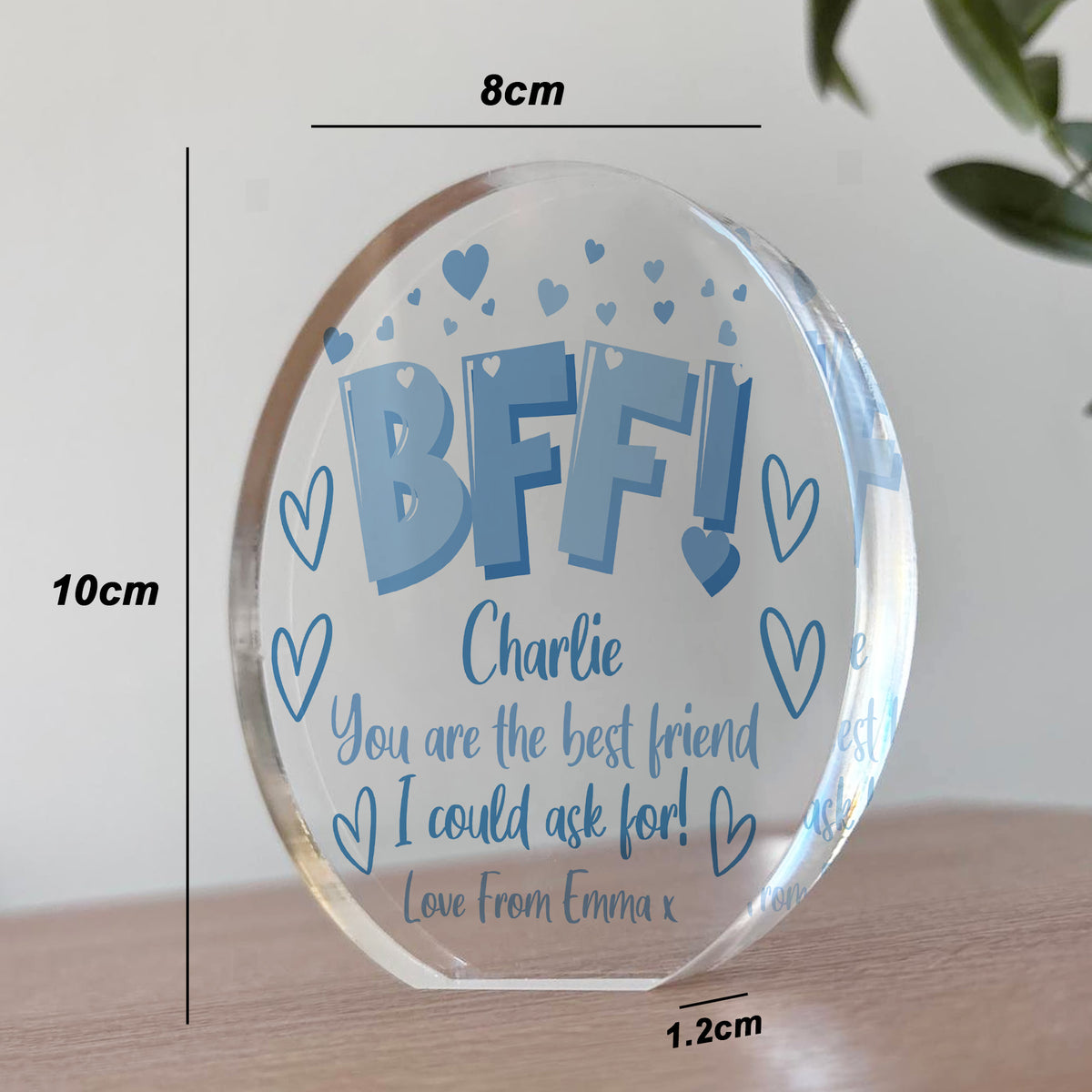 Personalised Best Friend Plaque Gift Friendship Gift