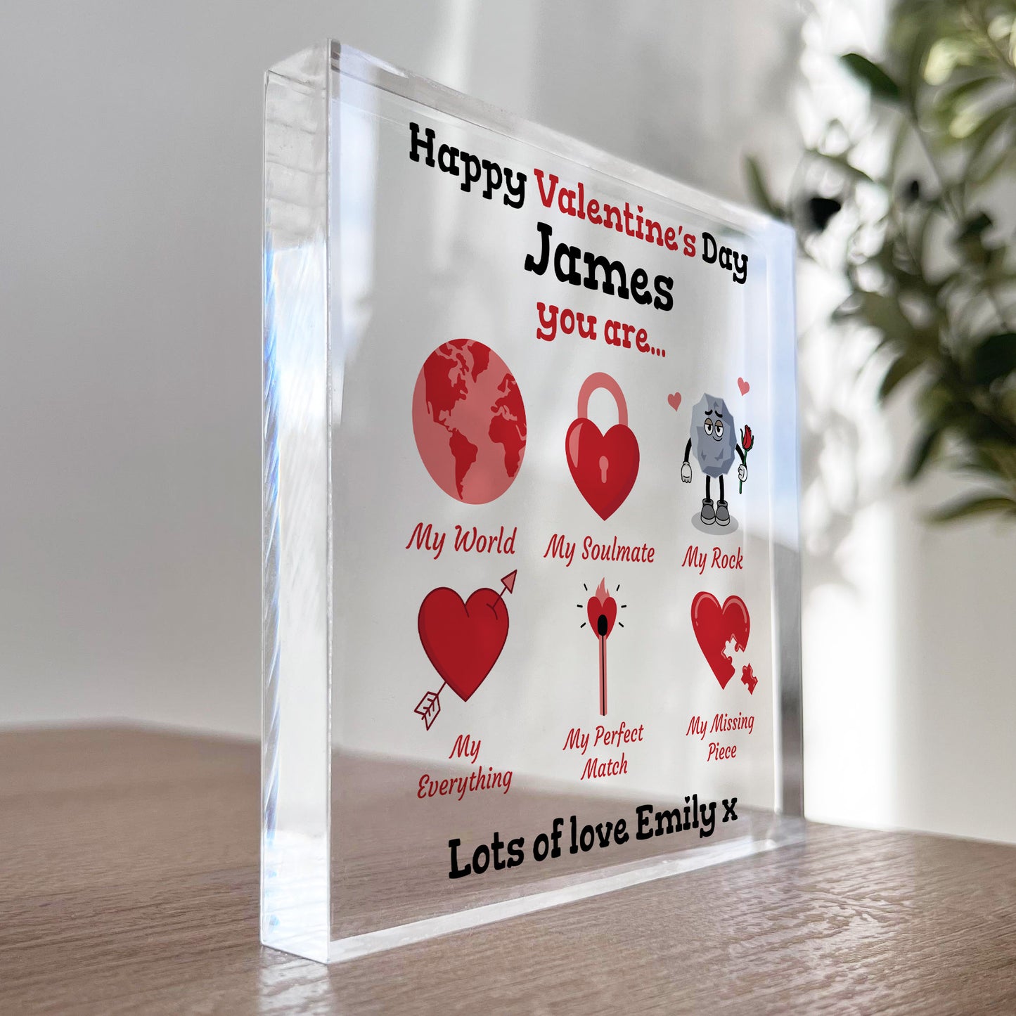 Gift For Partner Boyfriend Girlfriend Husband Wife Valentines