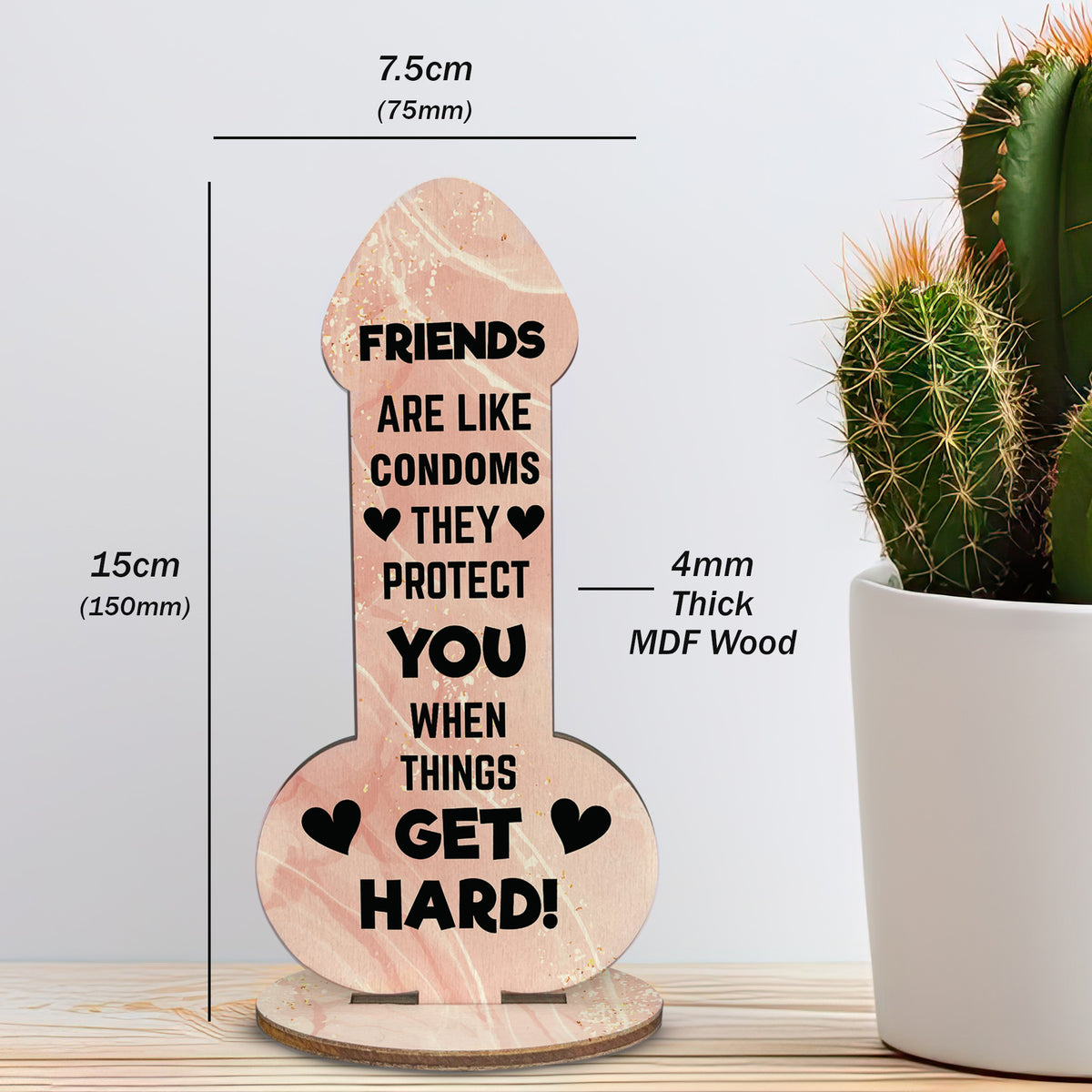 Funny Rude Friendship Plaque Novelty Christmas Birthday Gift