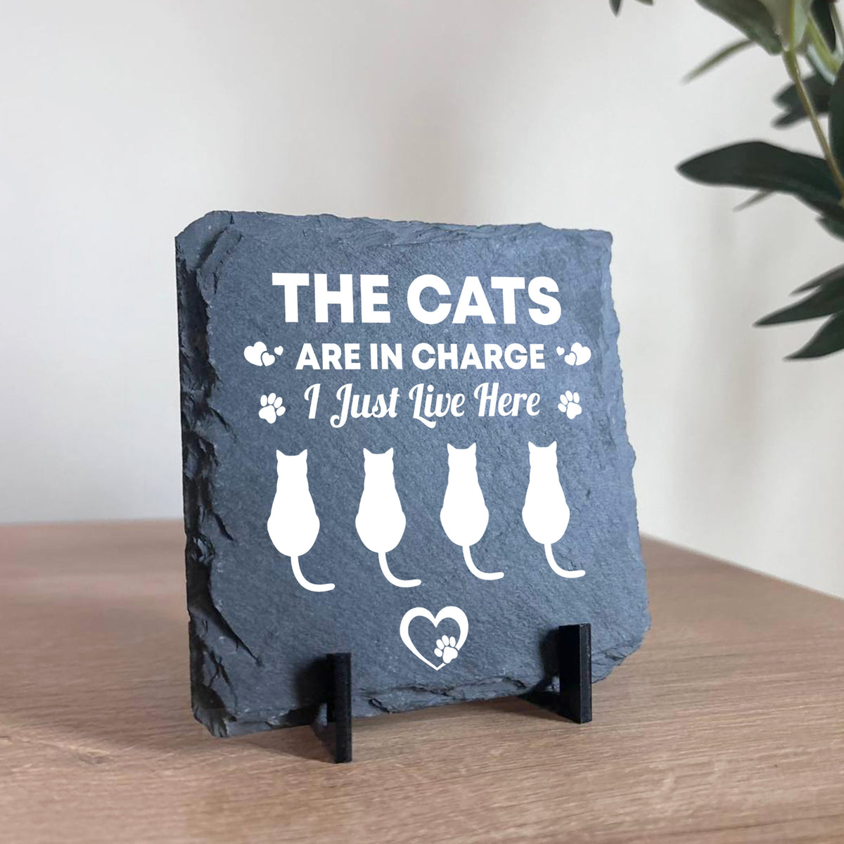 Funny Cat Slate Plaque Gift For Cat Owners Funny Pet Gifts