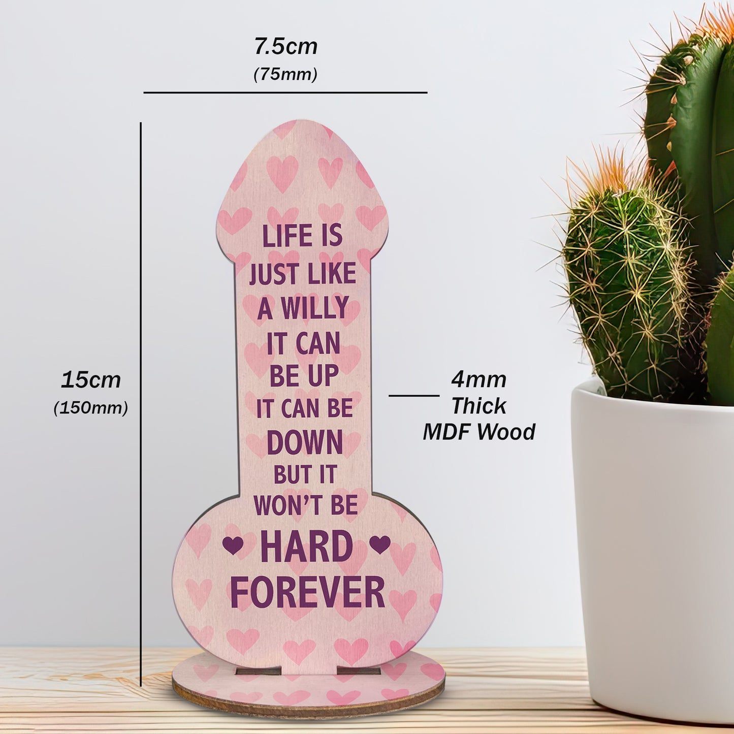 Funny Best Friend Sign Rude Friendship Gift For Him Her Novelty