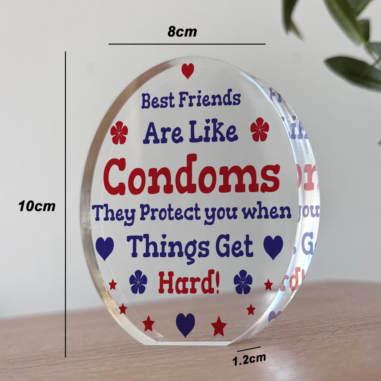 Funny Best Friend Gift Acrylic Plaque Funny Gift For Birthday