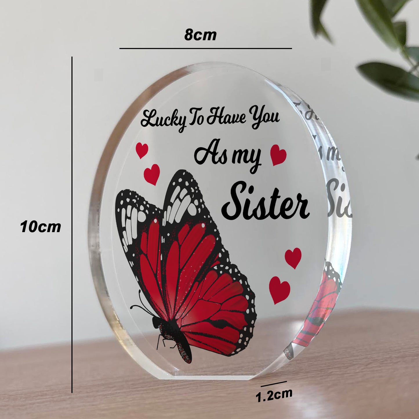 Sister Gifts Acrylic Plaque Birthday Gift For Sister Big Little