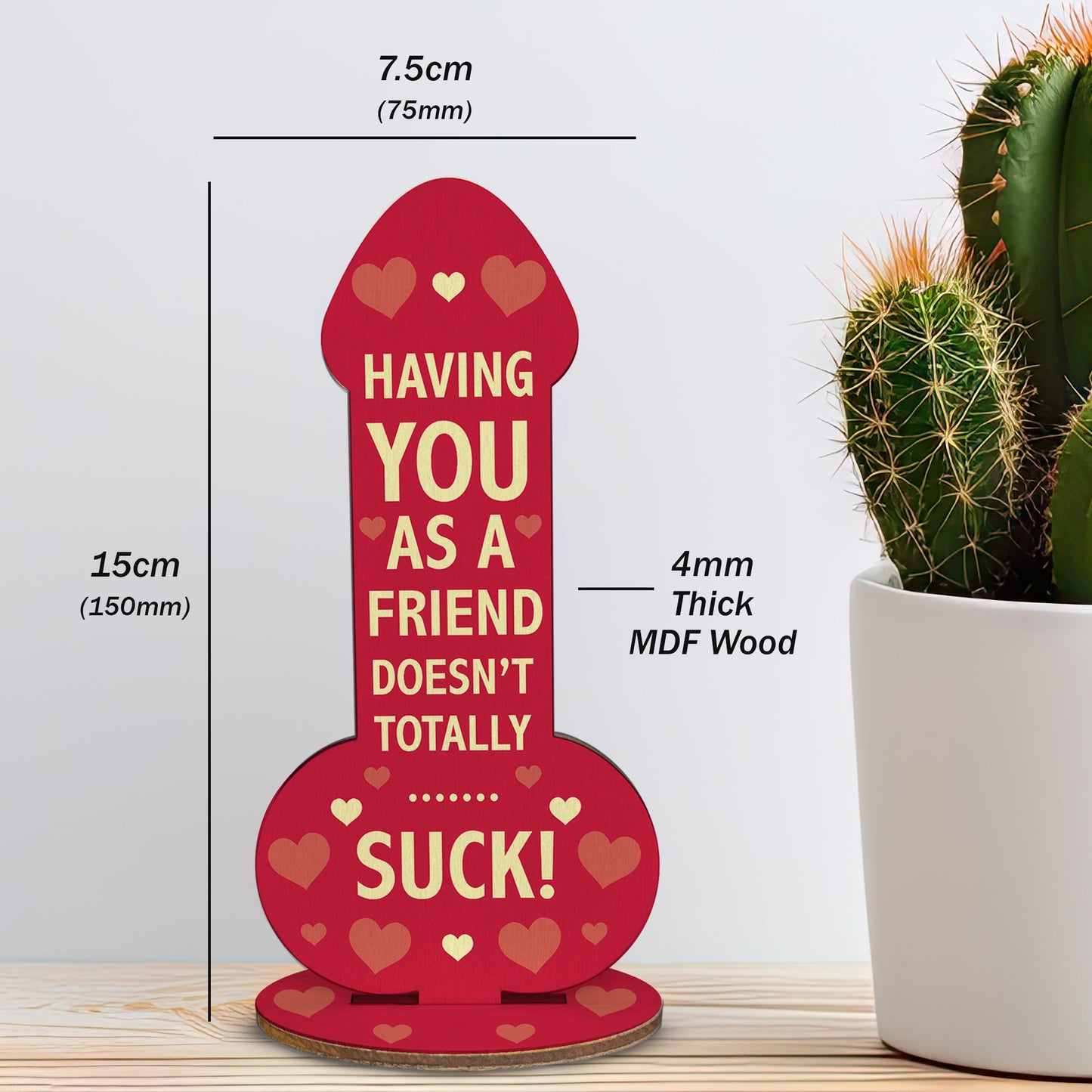 Funny Rude Best Friend Plaque Novelty Friendship Gift For Women
