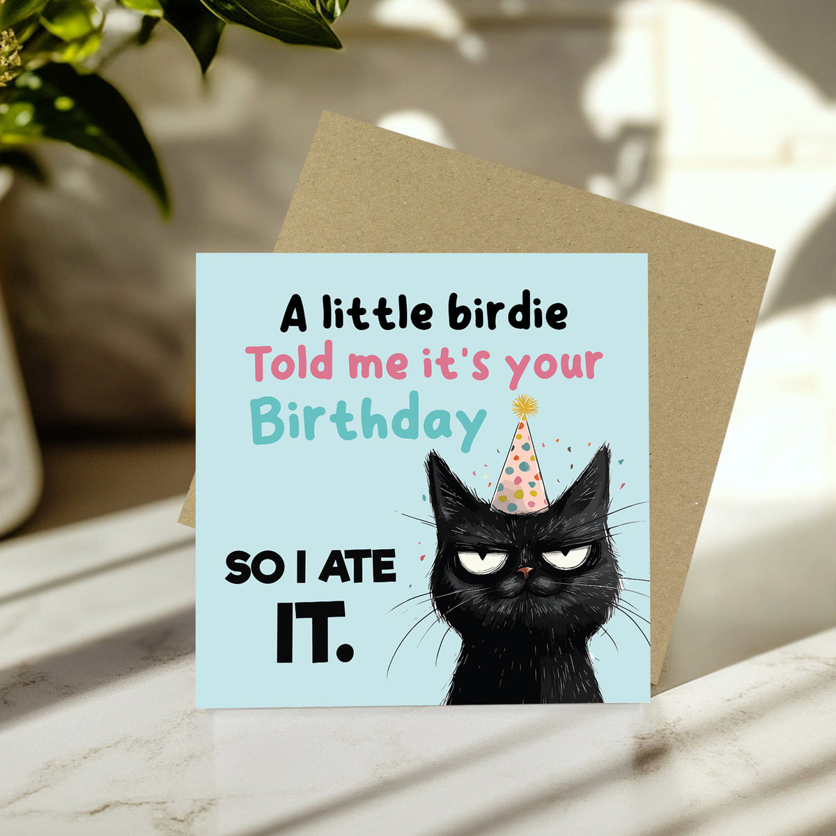 Humorous Birthday Card Happy Birthday for Friends Girls Women