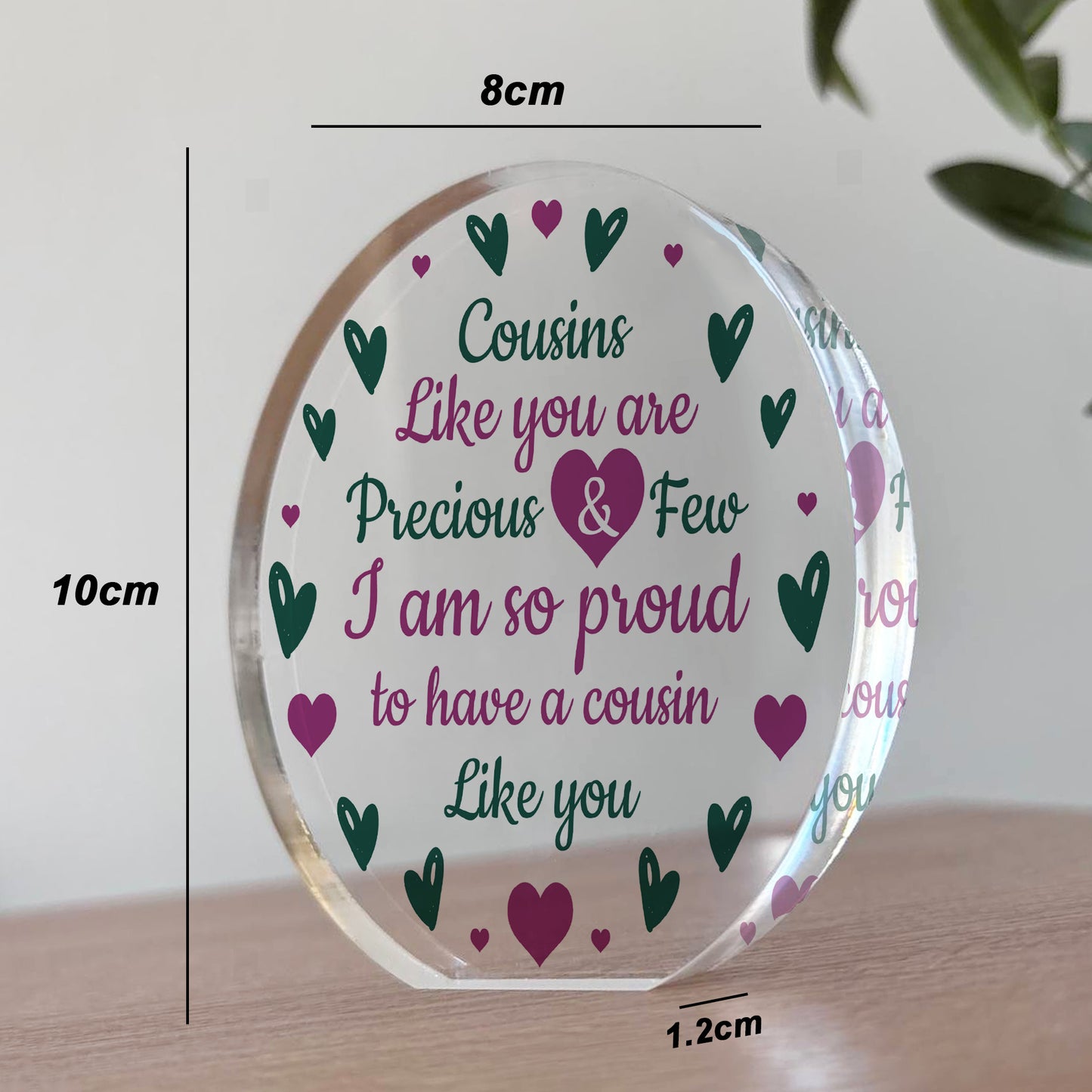 Gift For Cousin Birthday Christmas Acrylic Plaque Cousin Gifts