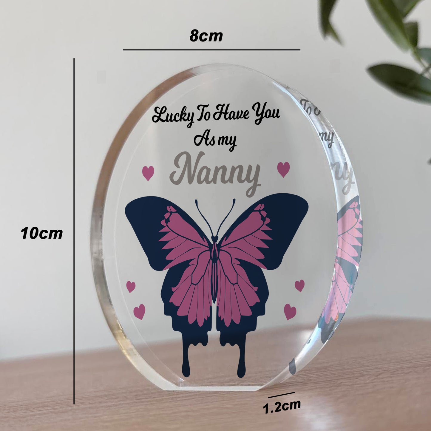 Thank You Gift For Nanny Birthday Christmas Acrylic Plaque Gift