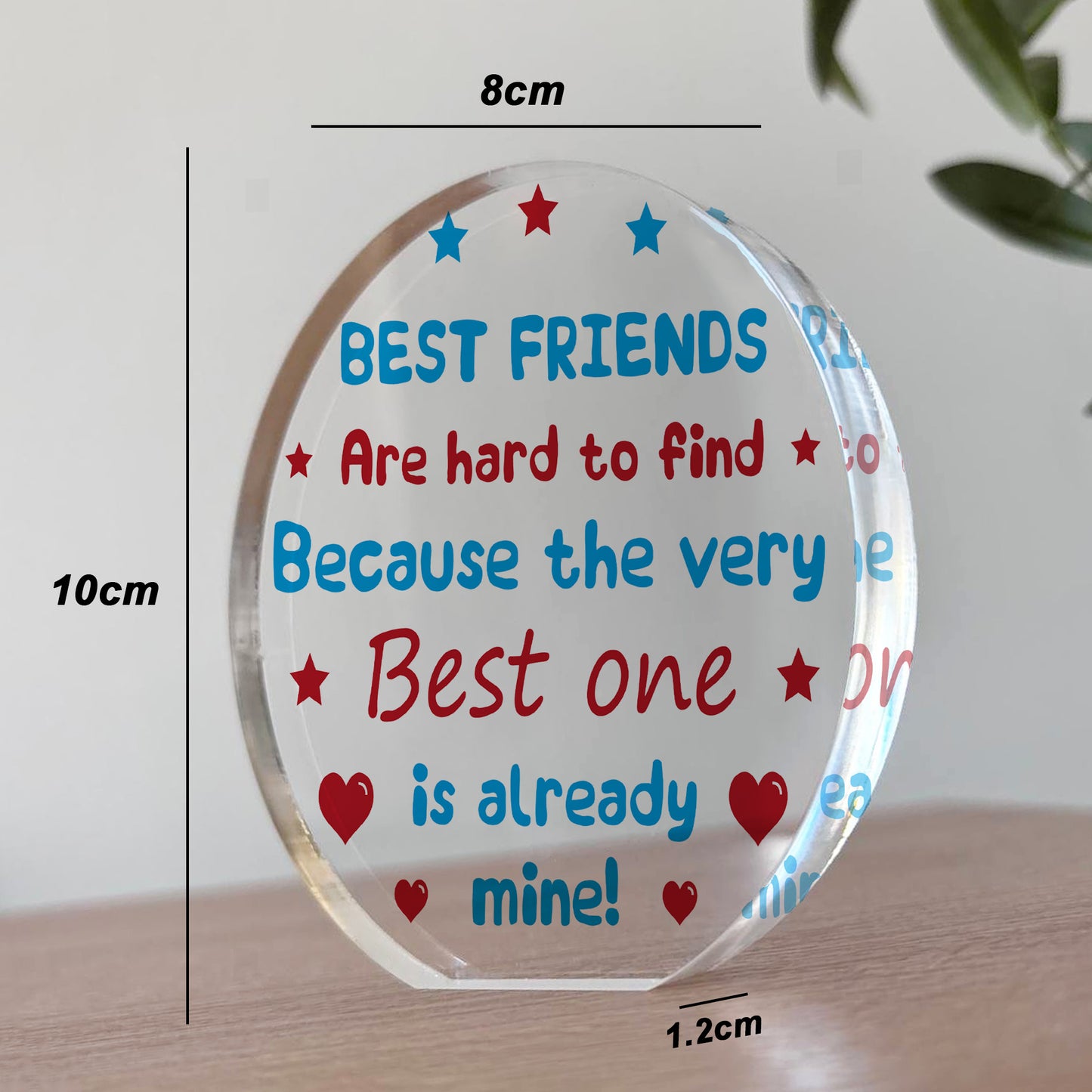 BEST FRIEND PLAQUE Special Thank You Gift For Friend