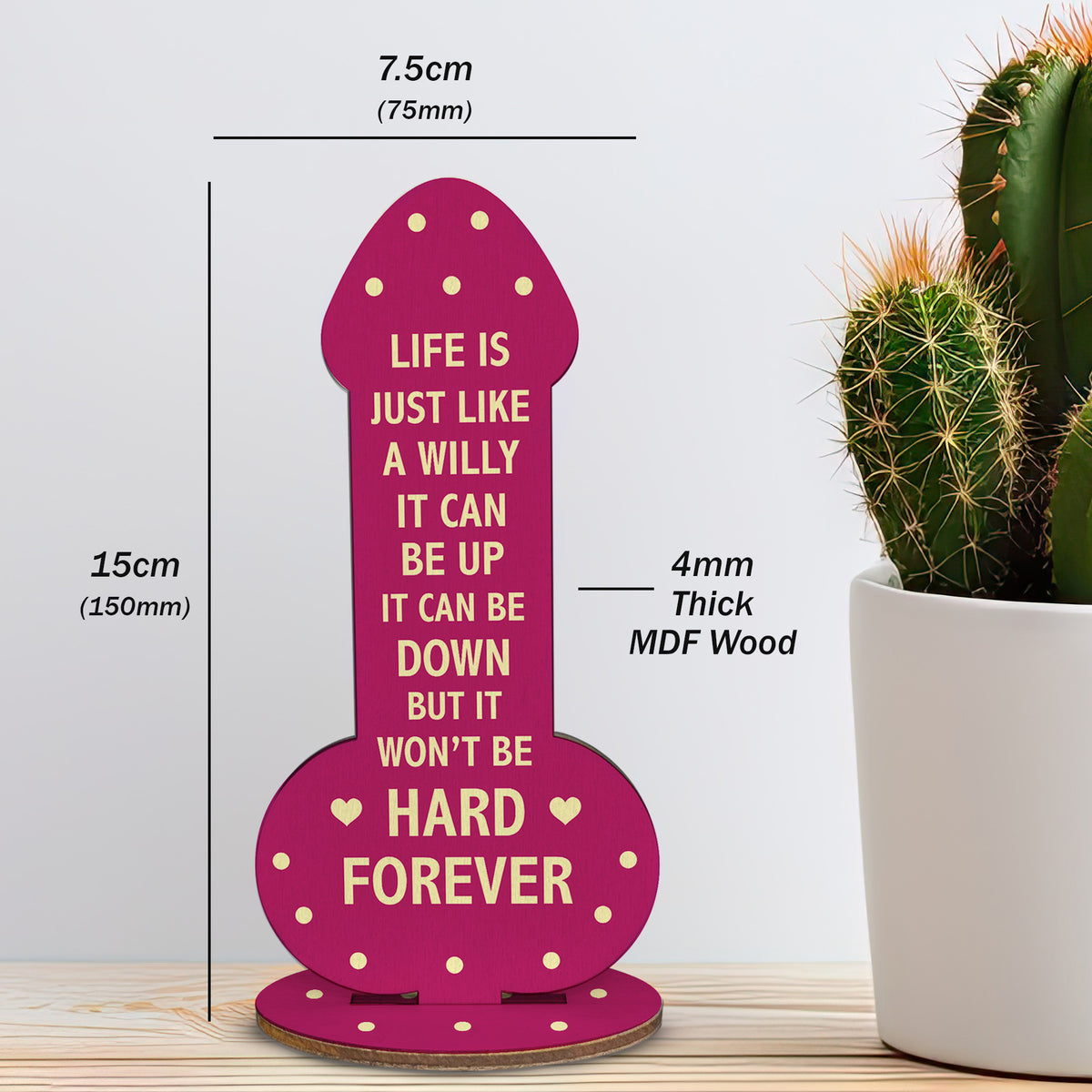 Joke Friendship Gift For Christmas Birthday Gift For Friend