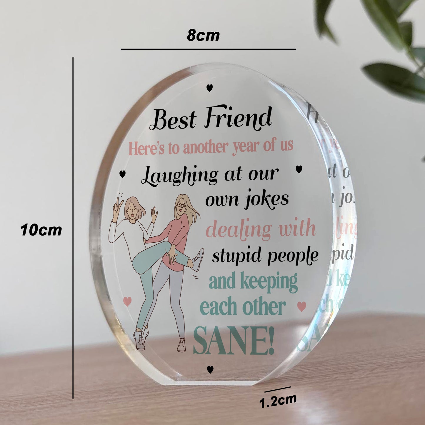 Funny Best Friend Gift For Birthday Acrylic Plaque Funny Gift