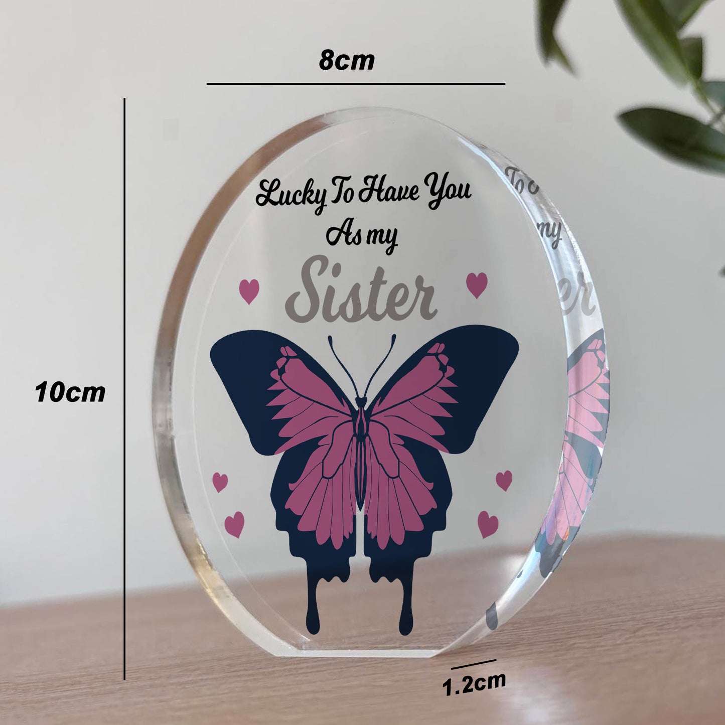 Thank You Gift For Sister Birthday Christmas Acrylic Plaque