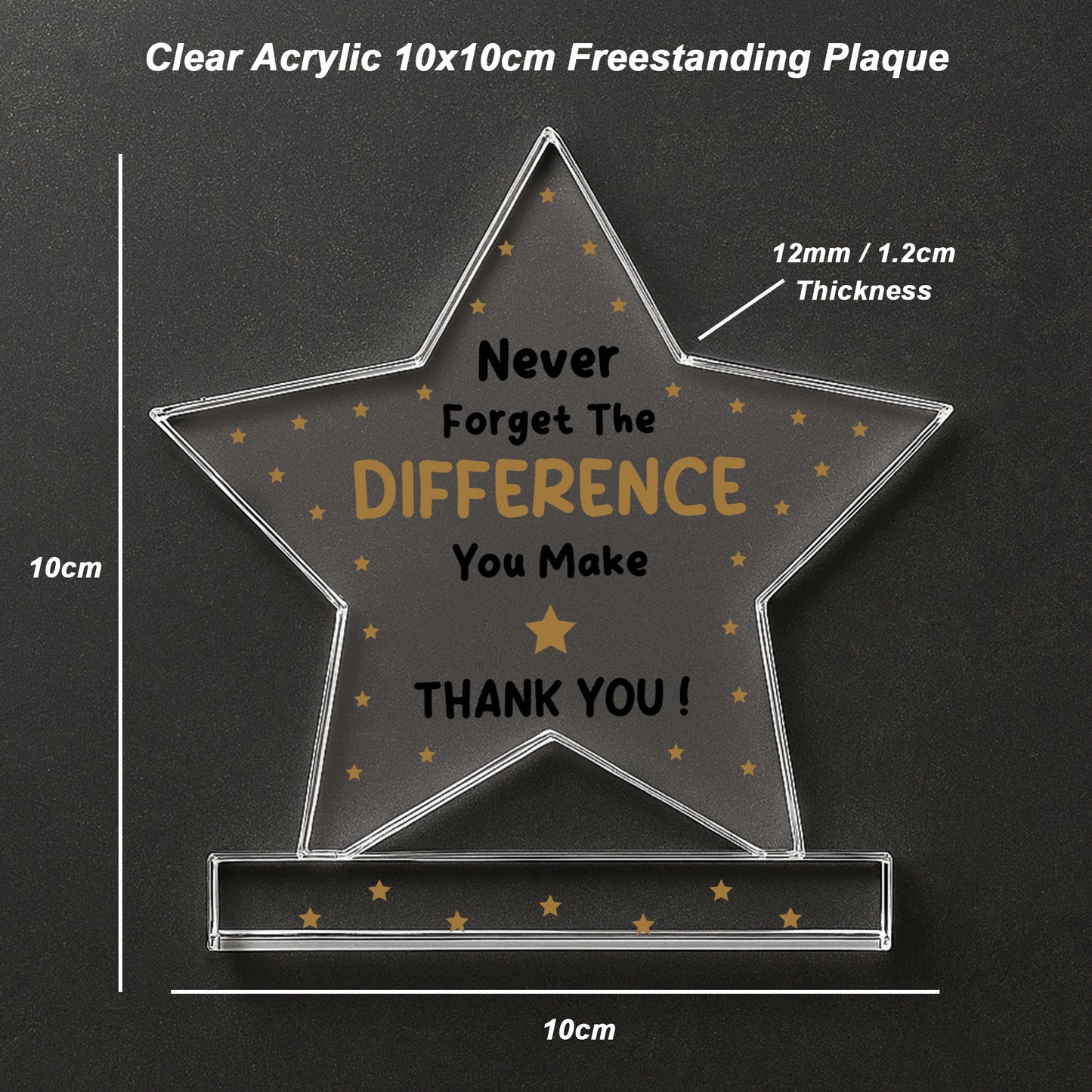 Thank You Gifts Never Forget the Difference You Make Plaque