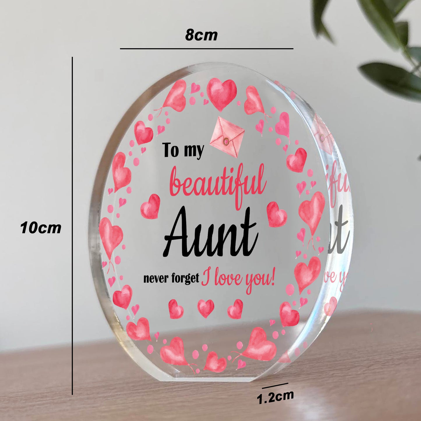Aunt Gifts Best Aunt Birthday Gift for Aunt Christmas Plaque