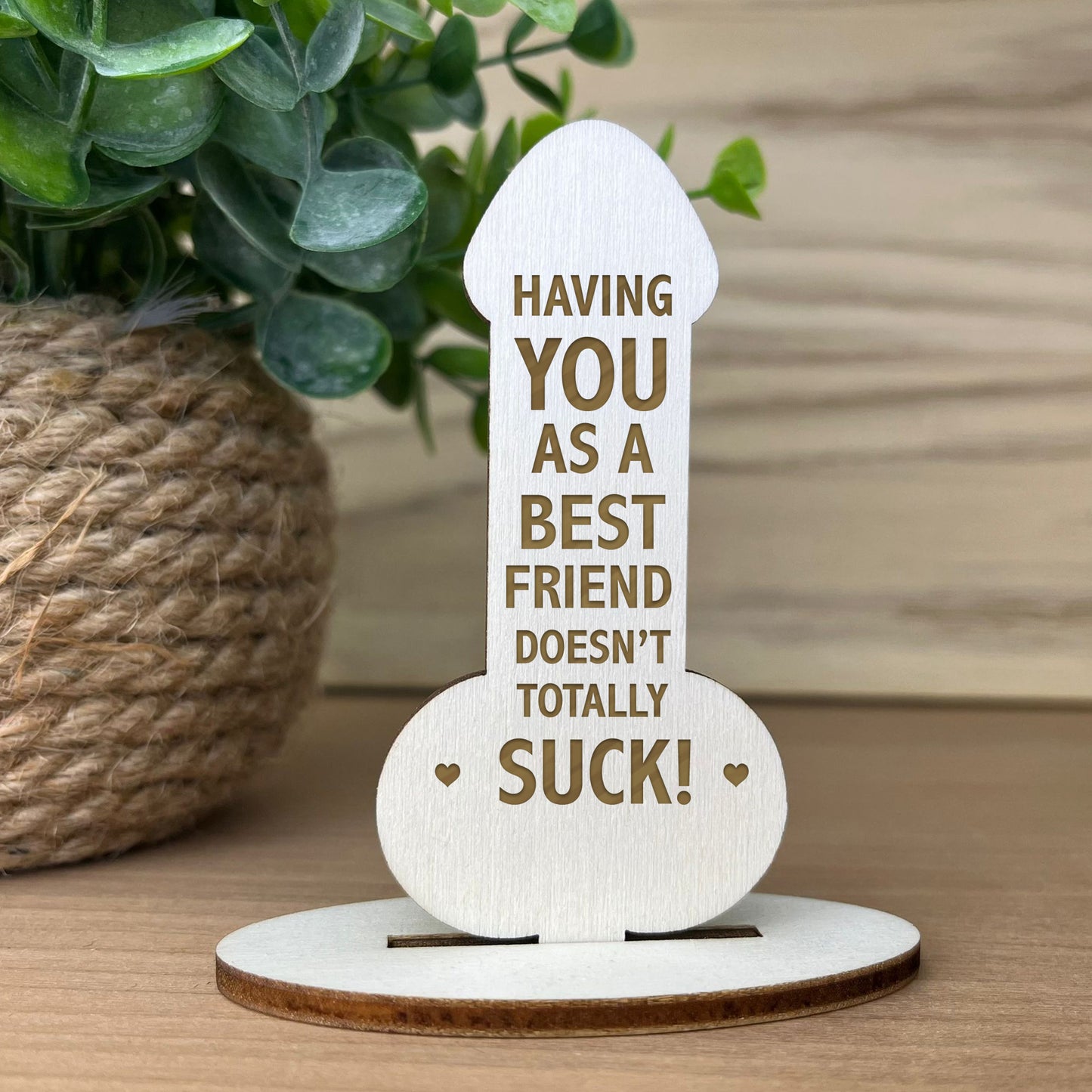 Novelty Gift For Friend Thank You Best Friend Funny Birthday