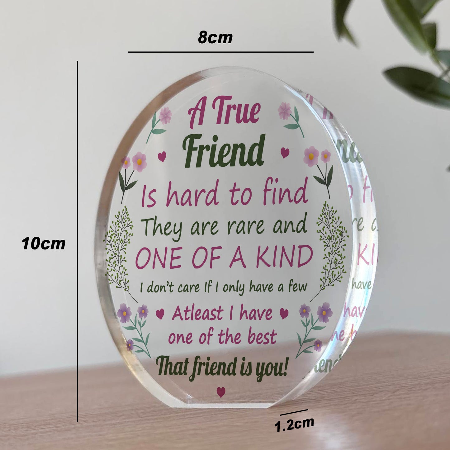 Friendship Gift Acrylic Plaque TRUE FRIEND GIFT Friendship Gifts