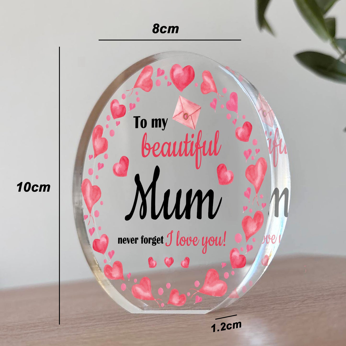 Mum Gifts Best Mum Birthday Gift for Mum Christmas Plaque