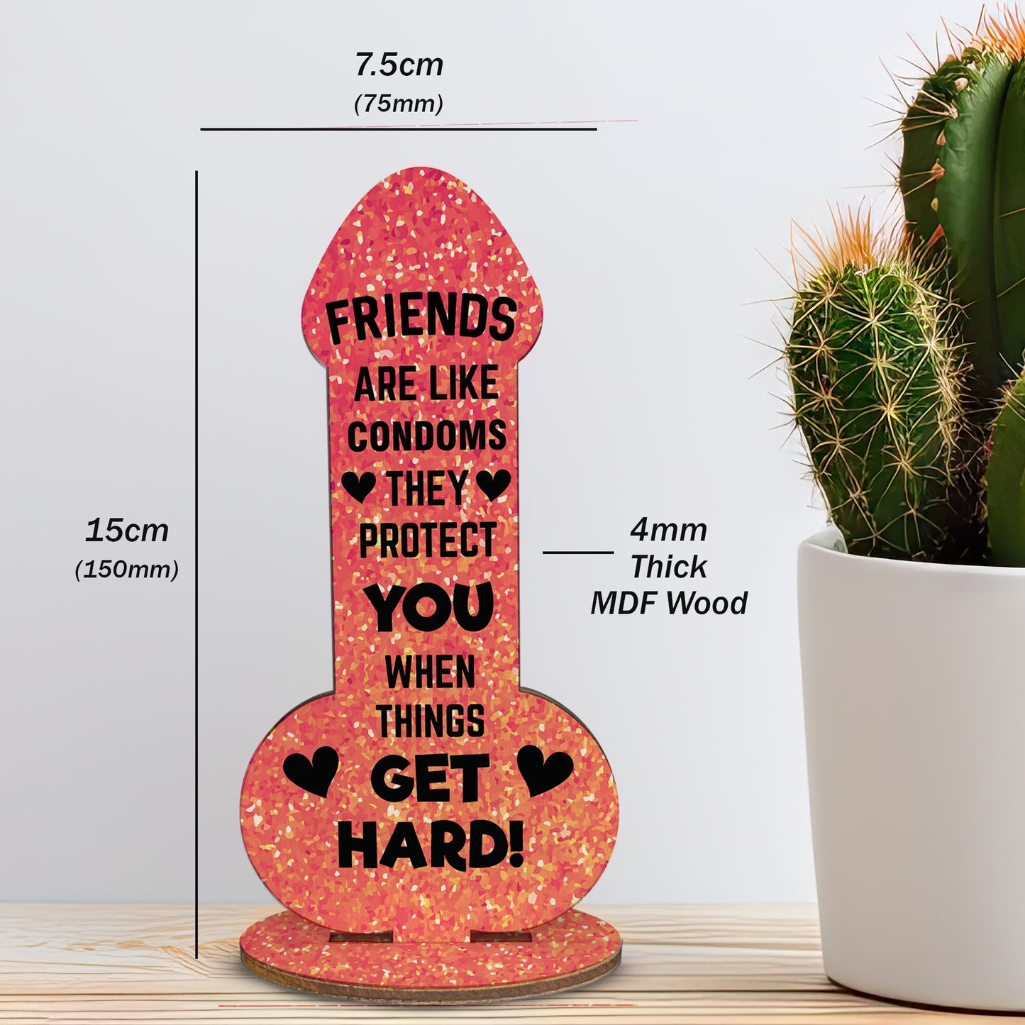 Funny Friendship Plaques Novelty Cheeky Birthday Gift For Friend