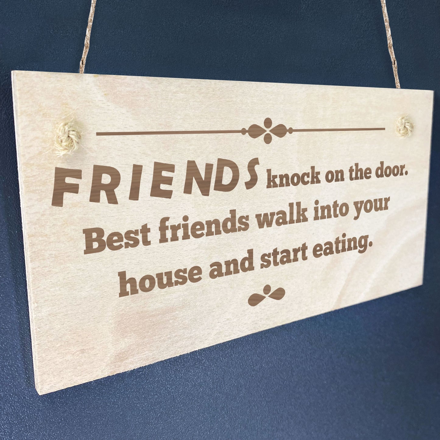 Funny BEST FRIEND PLAQUE Friendship Sign Gift For Him Her