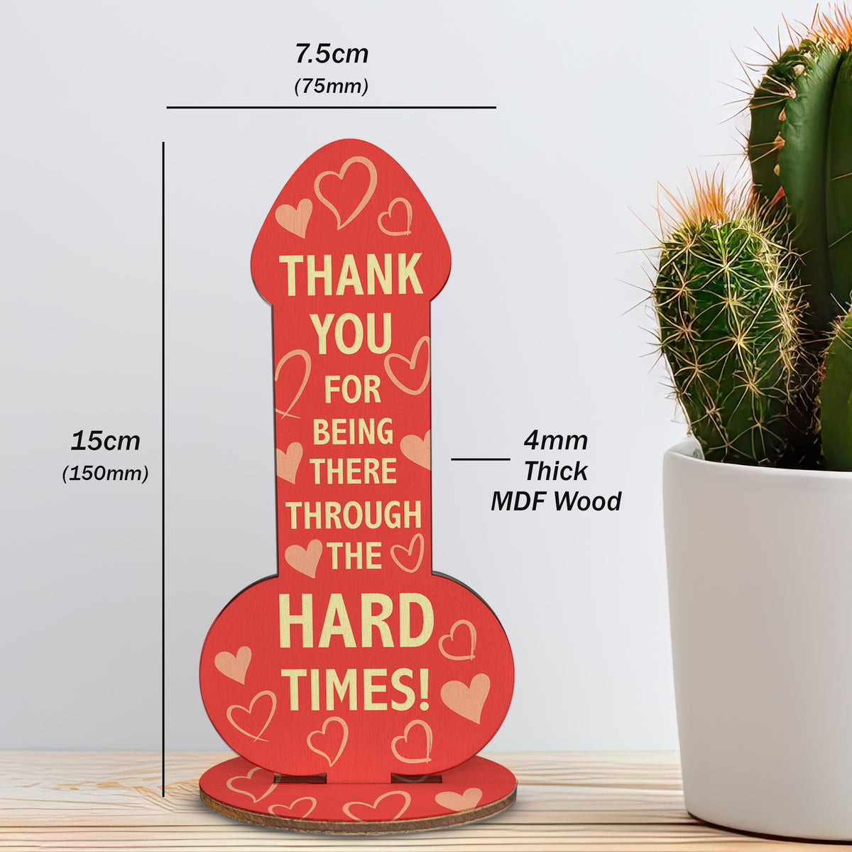 Funny Thank You Gift For Friends Family Rude Joke Best Friend