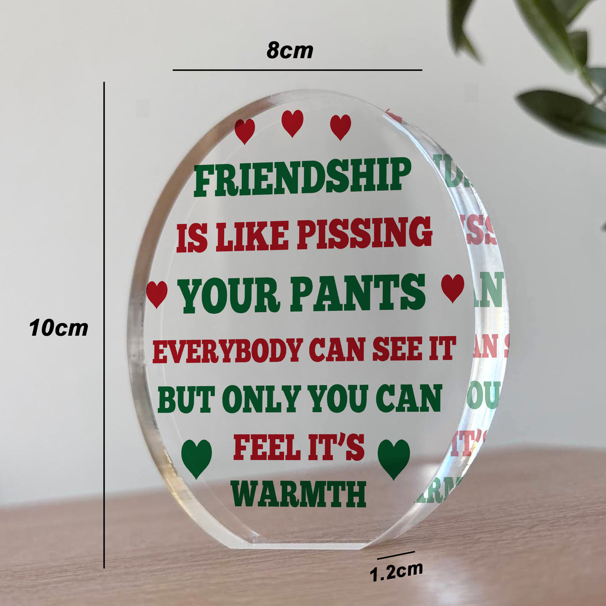 FUNNY Friendship Gift For Him Her Acrylic Plaque Special