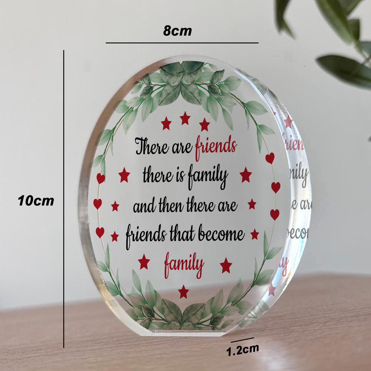 Friendship Gift For Best Friend Acrylic Plaque Best Friends