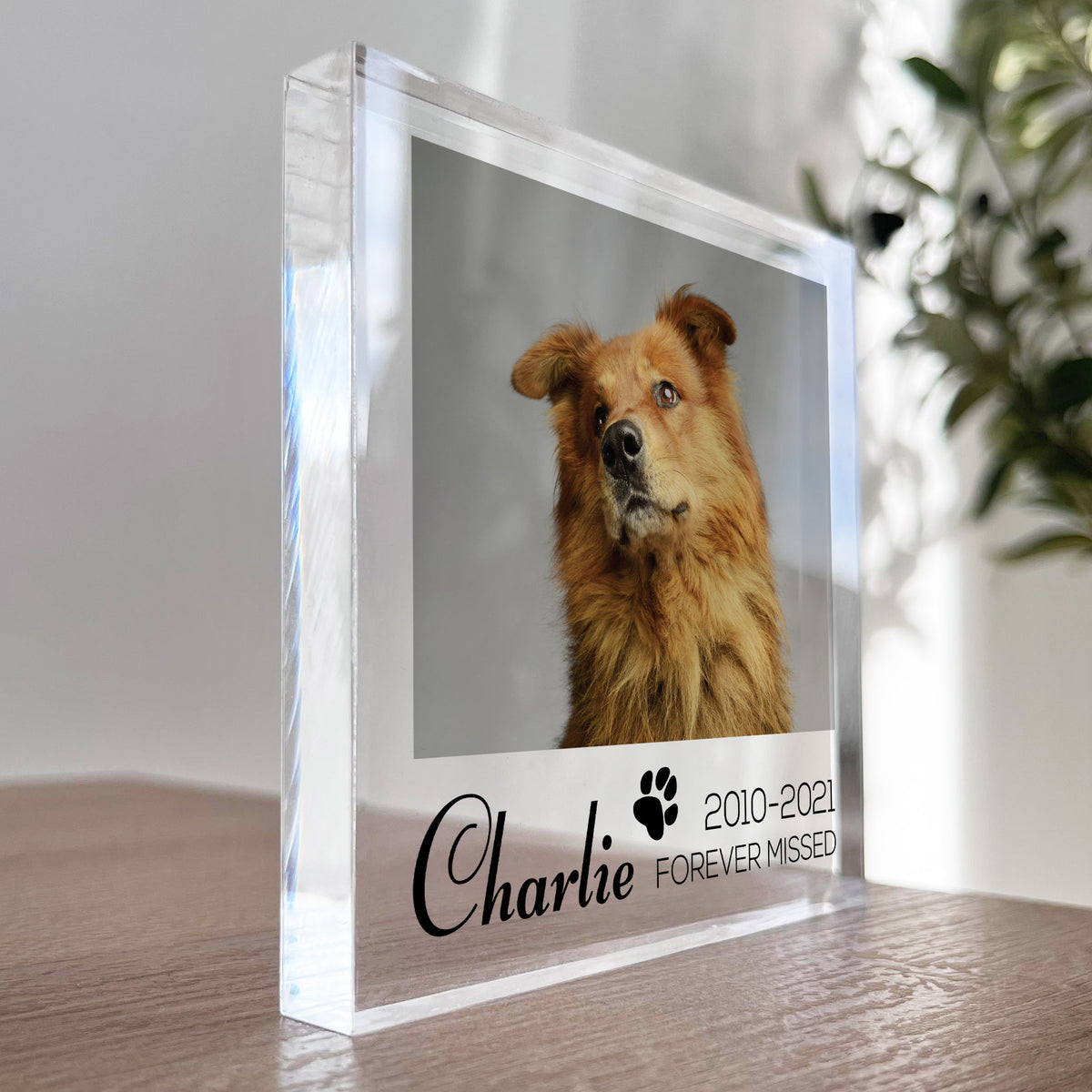 Special Memorial Gift For Pet Dog Memorail Cat Memorial Block
