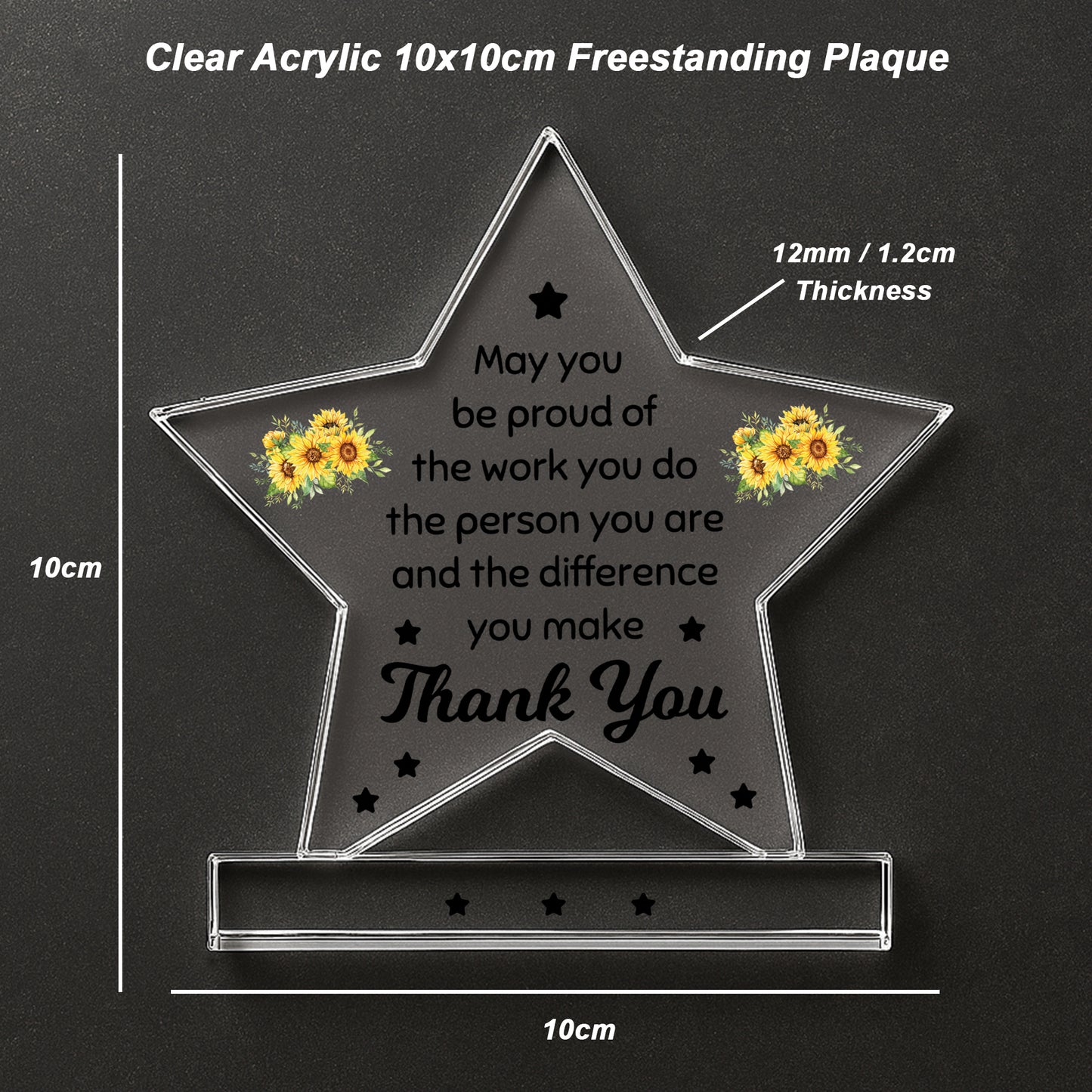 Thank You Gifts For Him Her Star Plaque Coworker Going Away