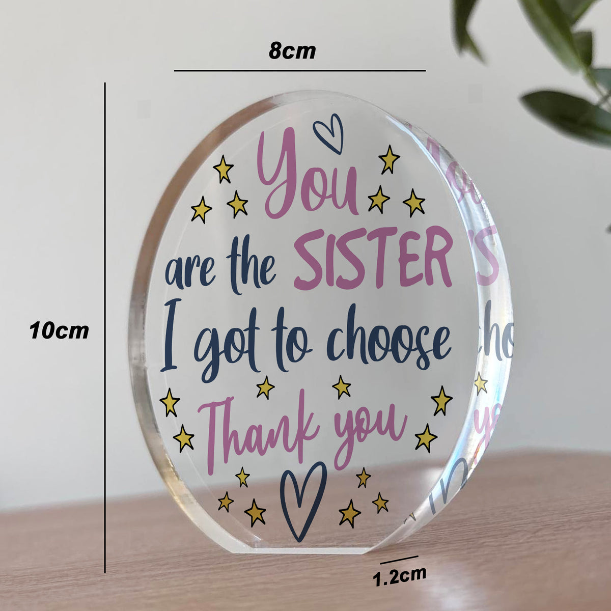 You Are The Sister I Got To Choose Gift For Best Friend Plaque