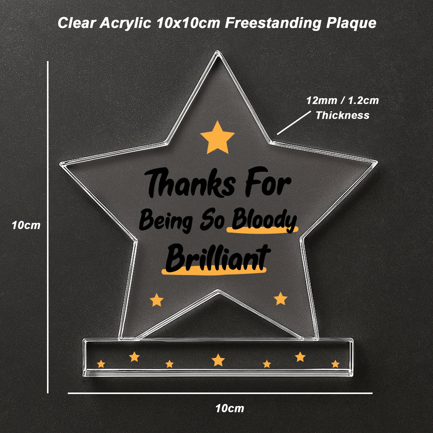 Appreciation Gifts For Him Her Thank You Gifts Brilliant Plaque