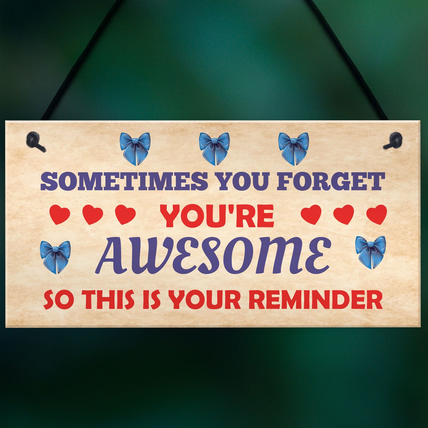 You Are Awesome Reminder Hanging Sign Christmas Birthday Gifts