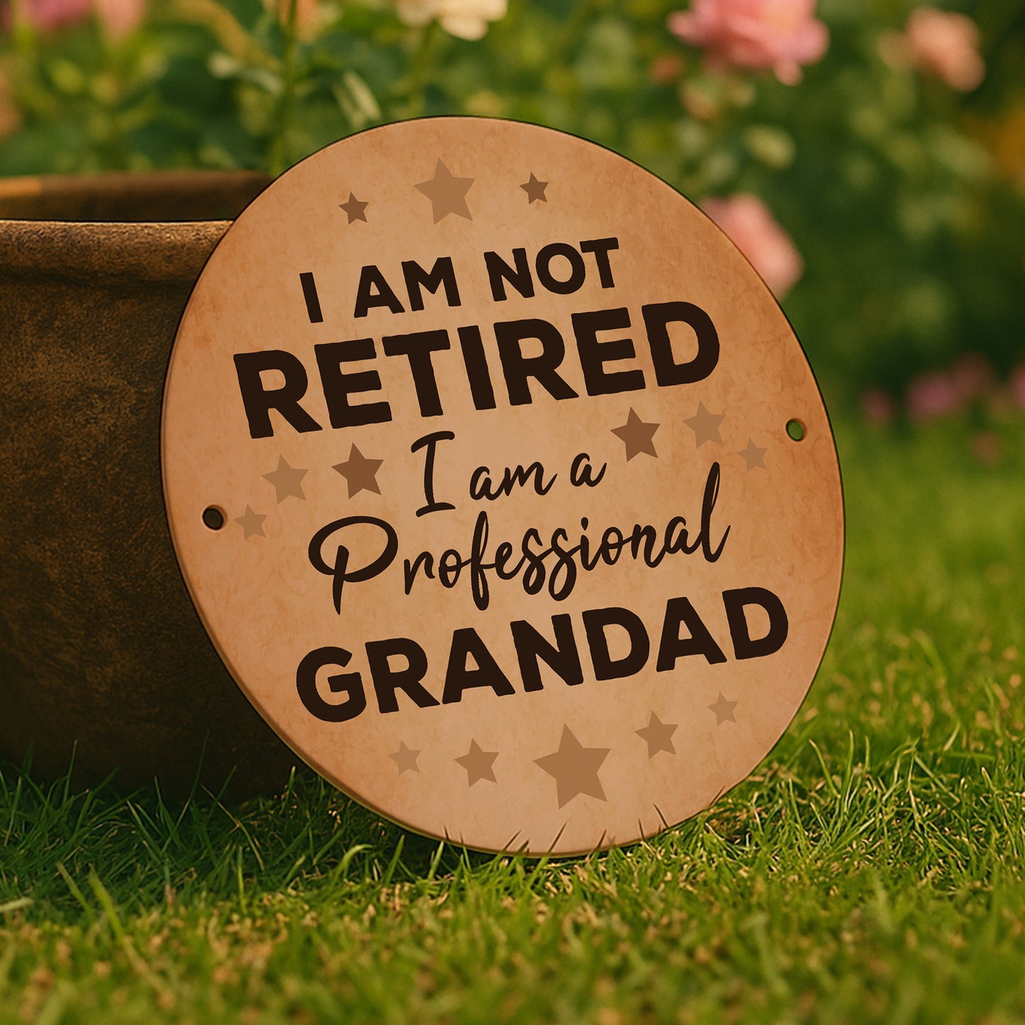 Funny Gift For Grandad Birthday Fathers Day PROFESSIONAL GRANDAD