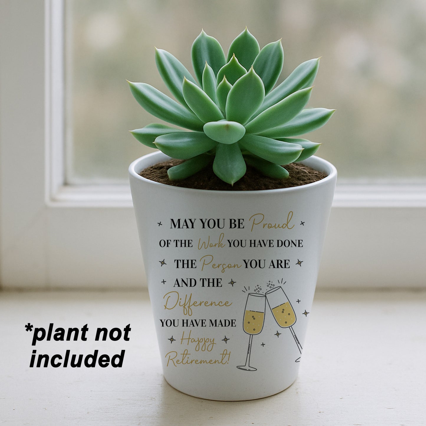 Retirement Gifts For Women Plant Pot and Card Congratulations
