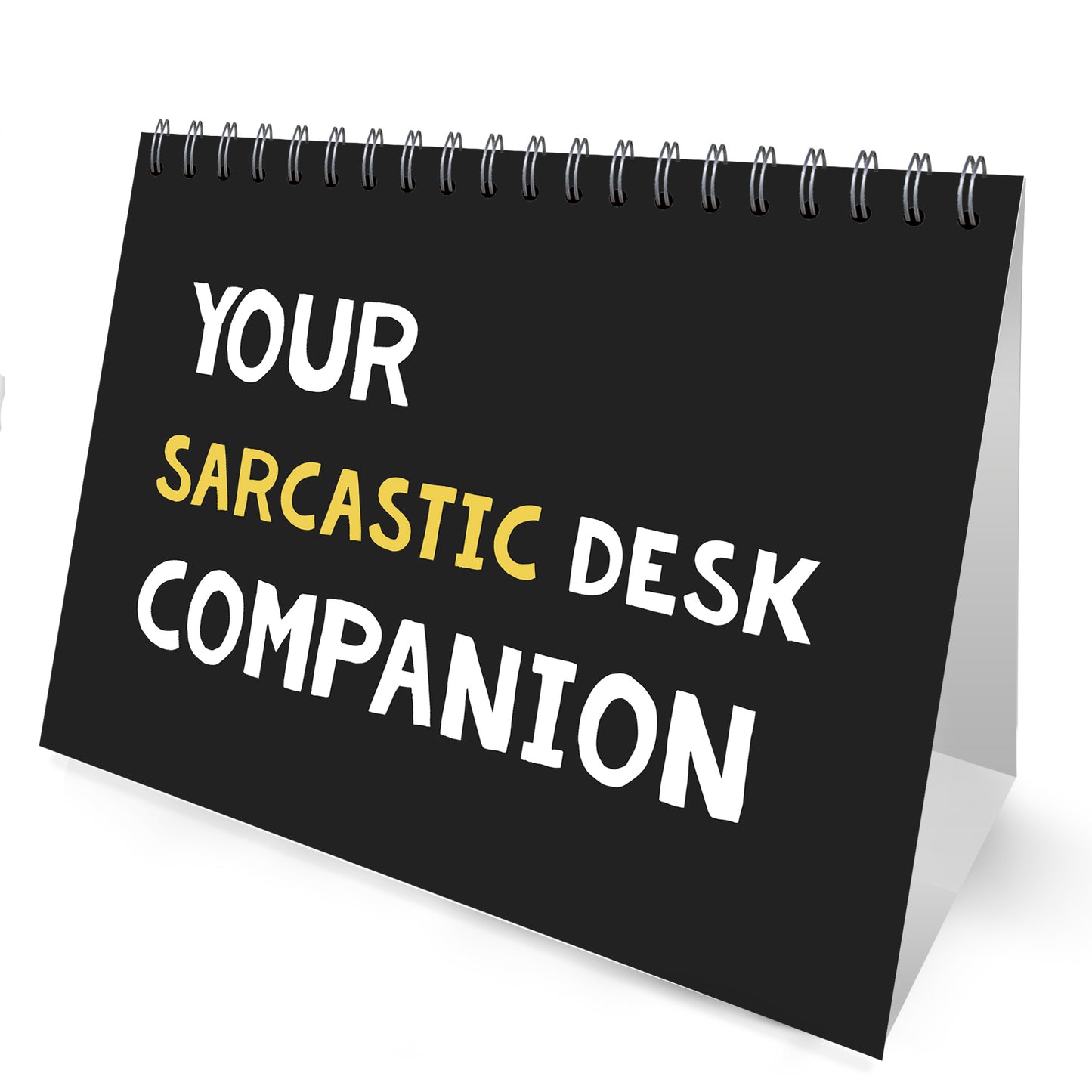 Sarcastic Office Desk Companion Funny Joke Office Gift Colleague