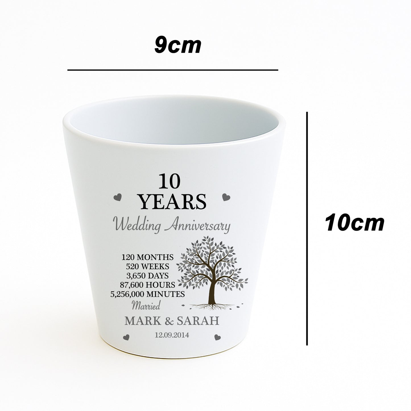 Personalised 10th Anniversary Gift Husband Wife Wedding Plant Po
