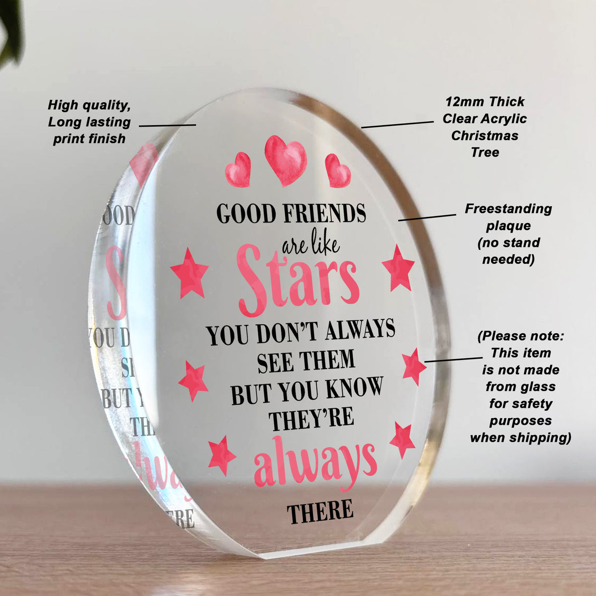 Good Friends Gift Ornament Acrylic Plaque Gift For Best Friend