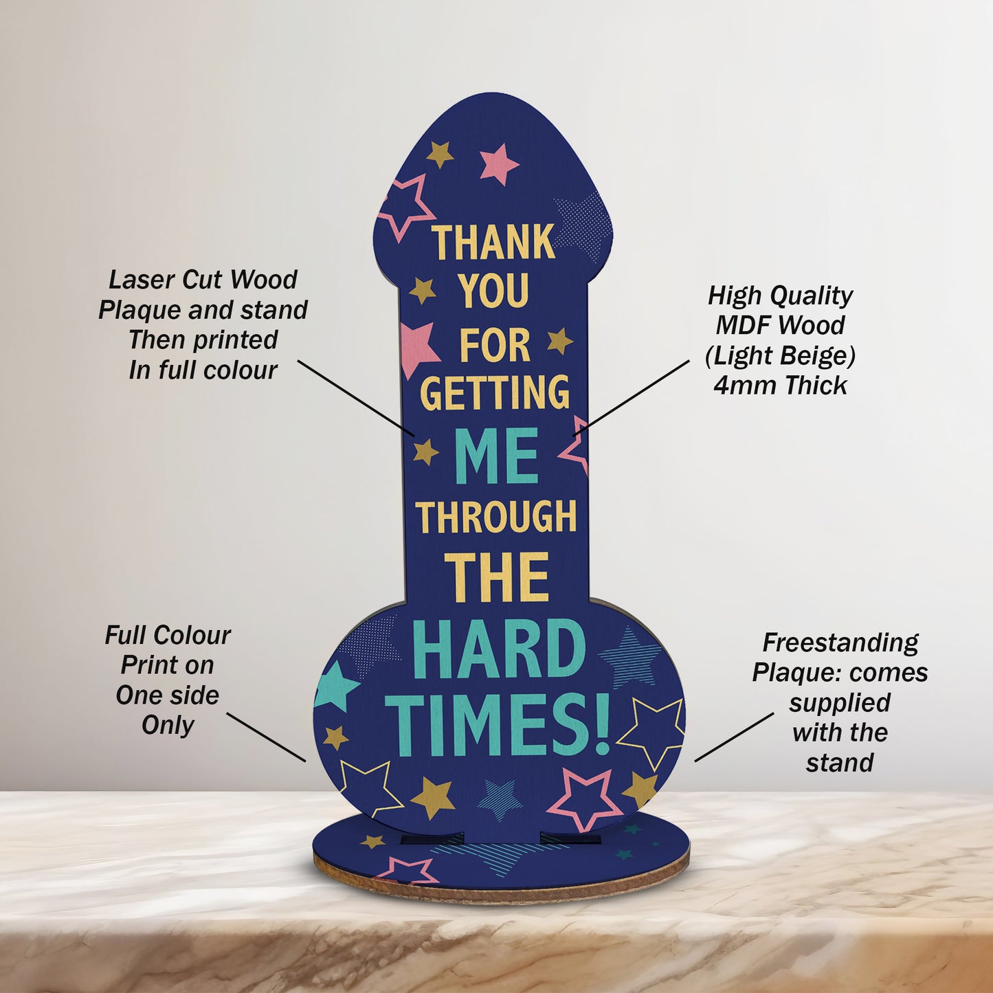 Funny Friendship Plaque Thank You Gift For Friend Novelty Rude