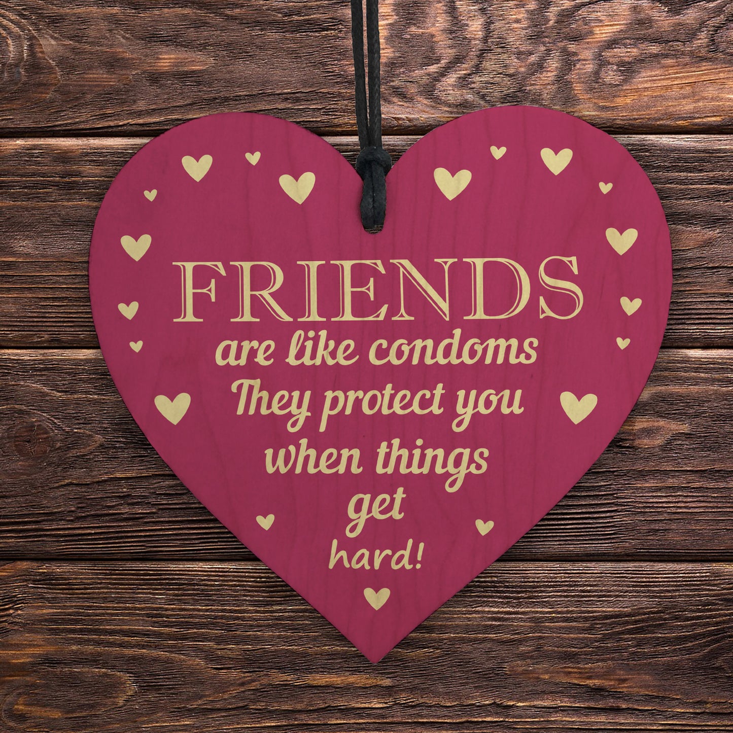 FUNNY HILARIOUS FRIENDSHIP SIGN Thank You Gift For Best Friend