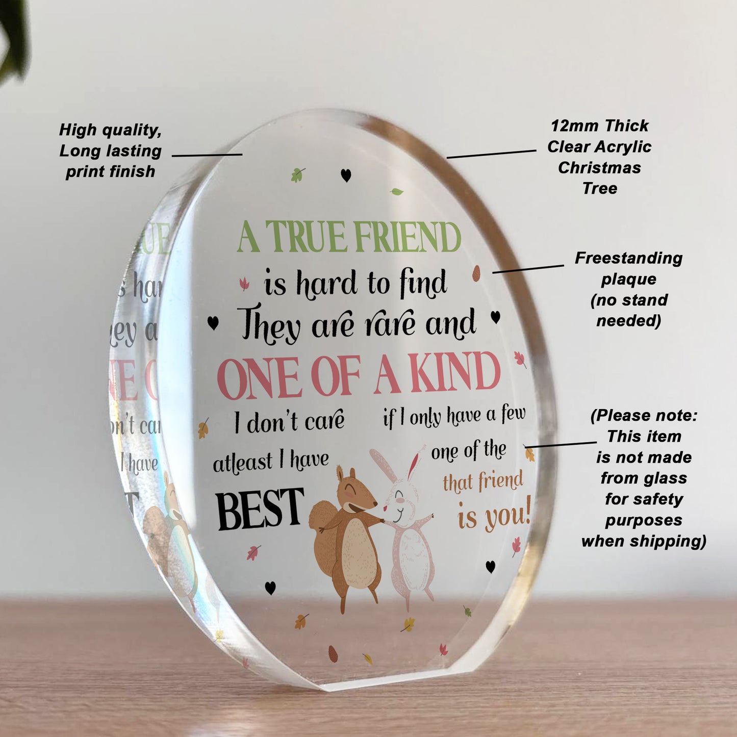 Gift For Best Friend BFF True Friend Gift Acrylic Plaque