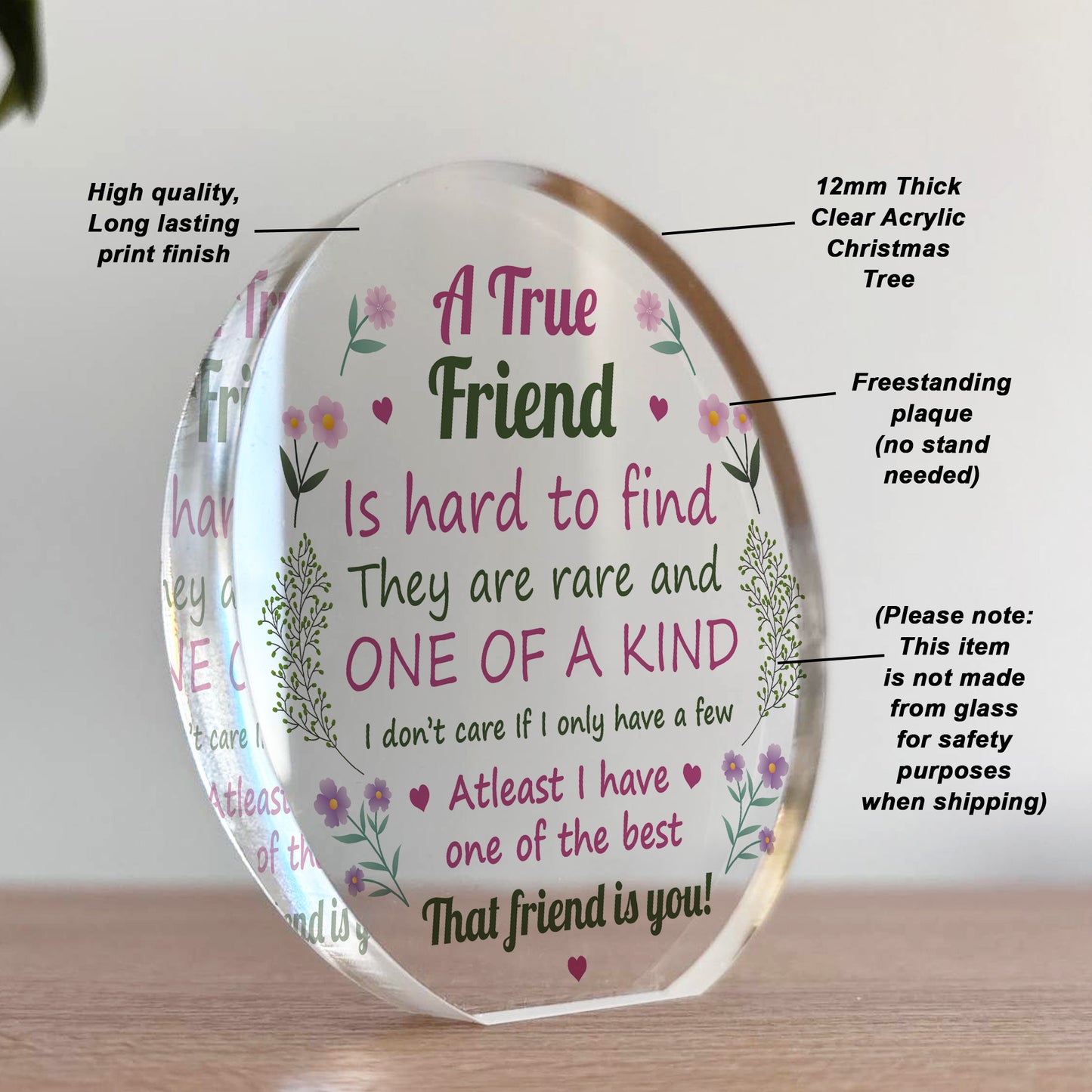 Friendship Gift Acrylic Plaque TRUE FRIEND GIFT Friendship Gifts