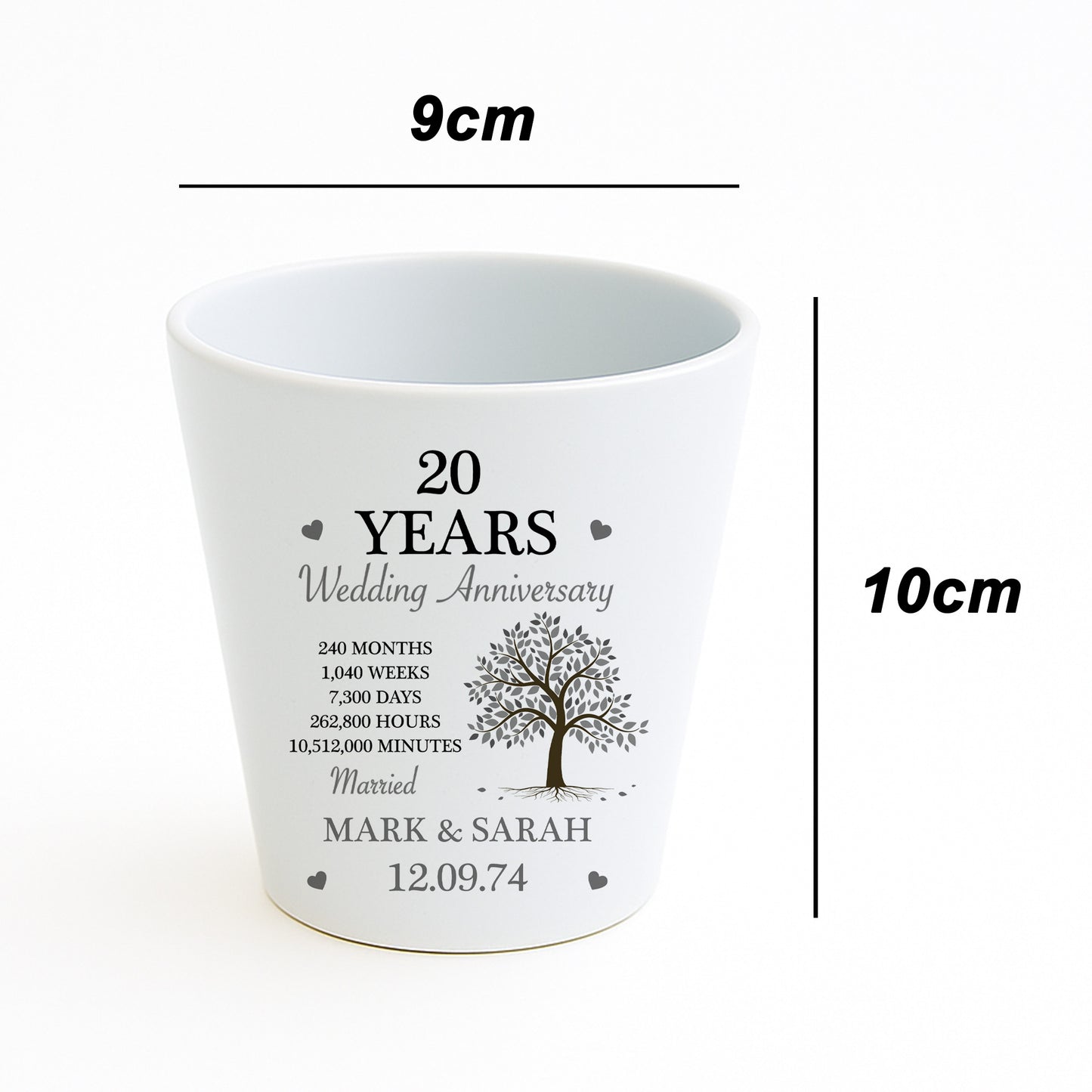 Personalised 20th Anniversary Gift Husband Wife Plant Pot