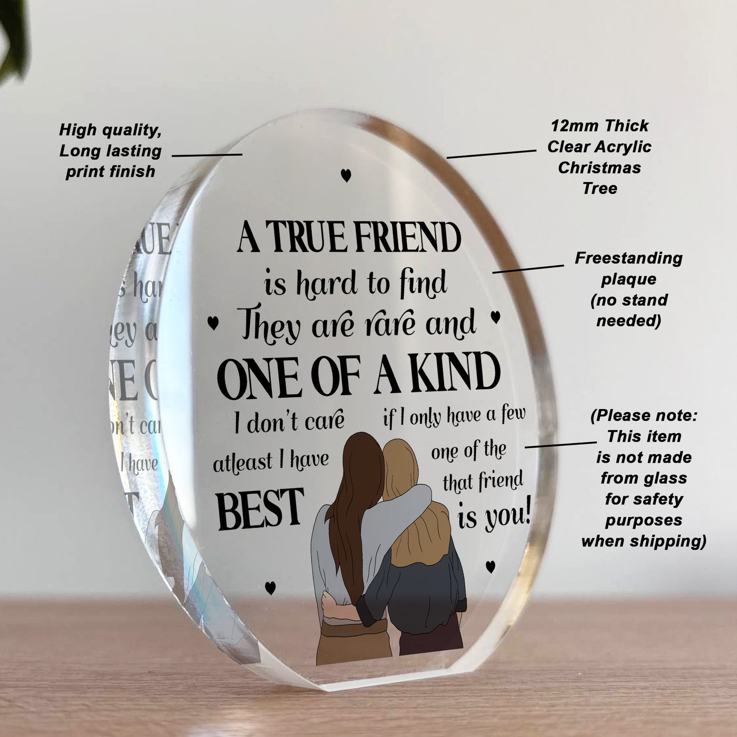 Gift For Best Friend BFF TRUE FRIEND PLAQUE Acrylic Plaque