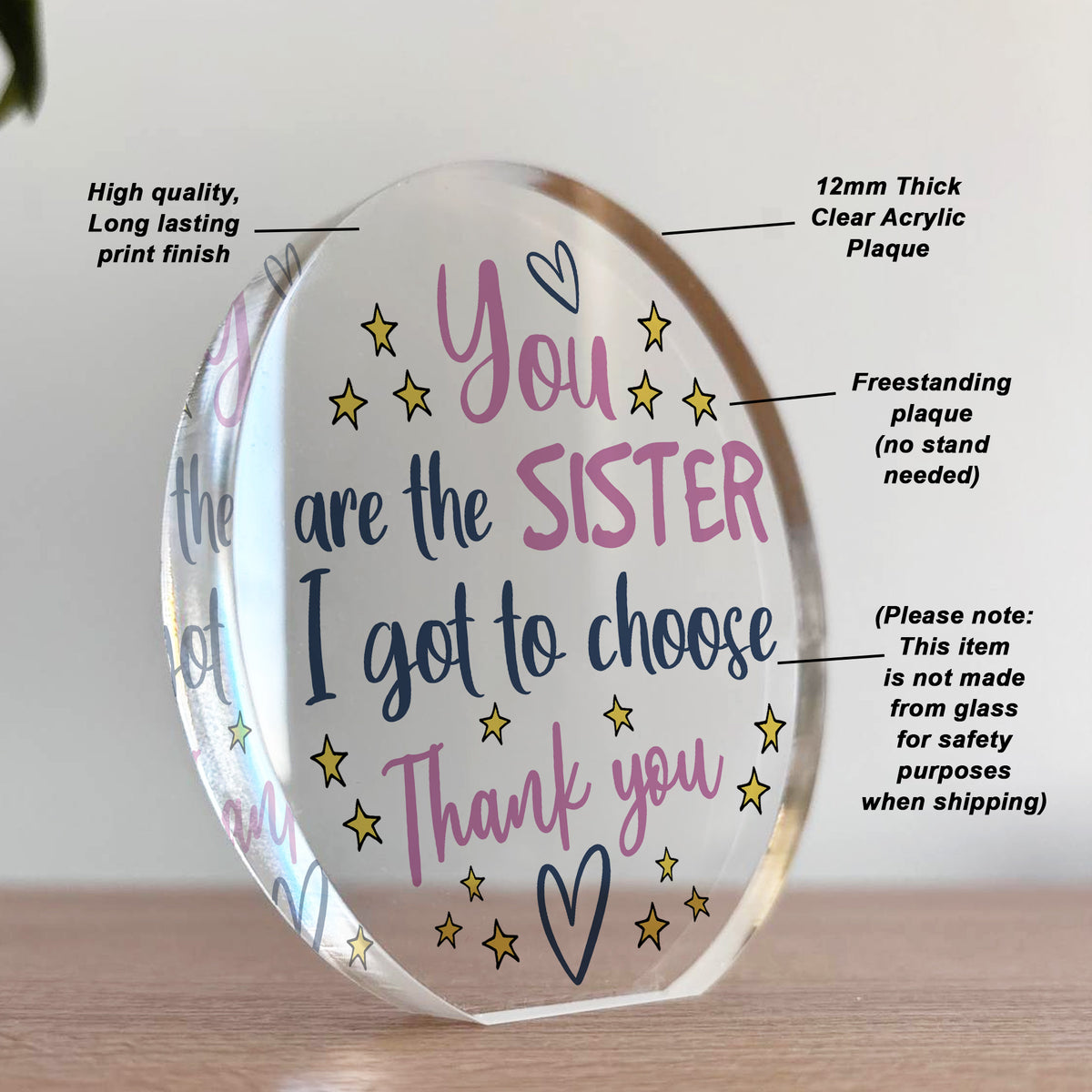 You Are The Sister I Got To Choose Gift For Best Friend Plaque