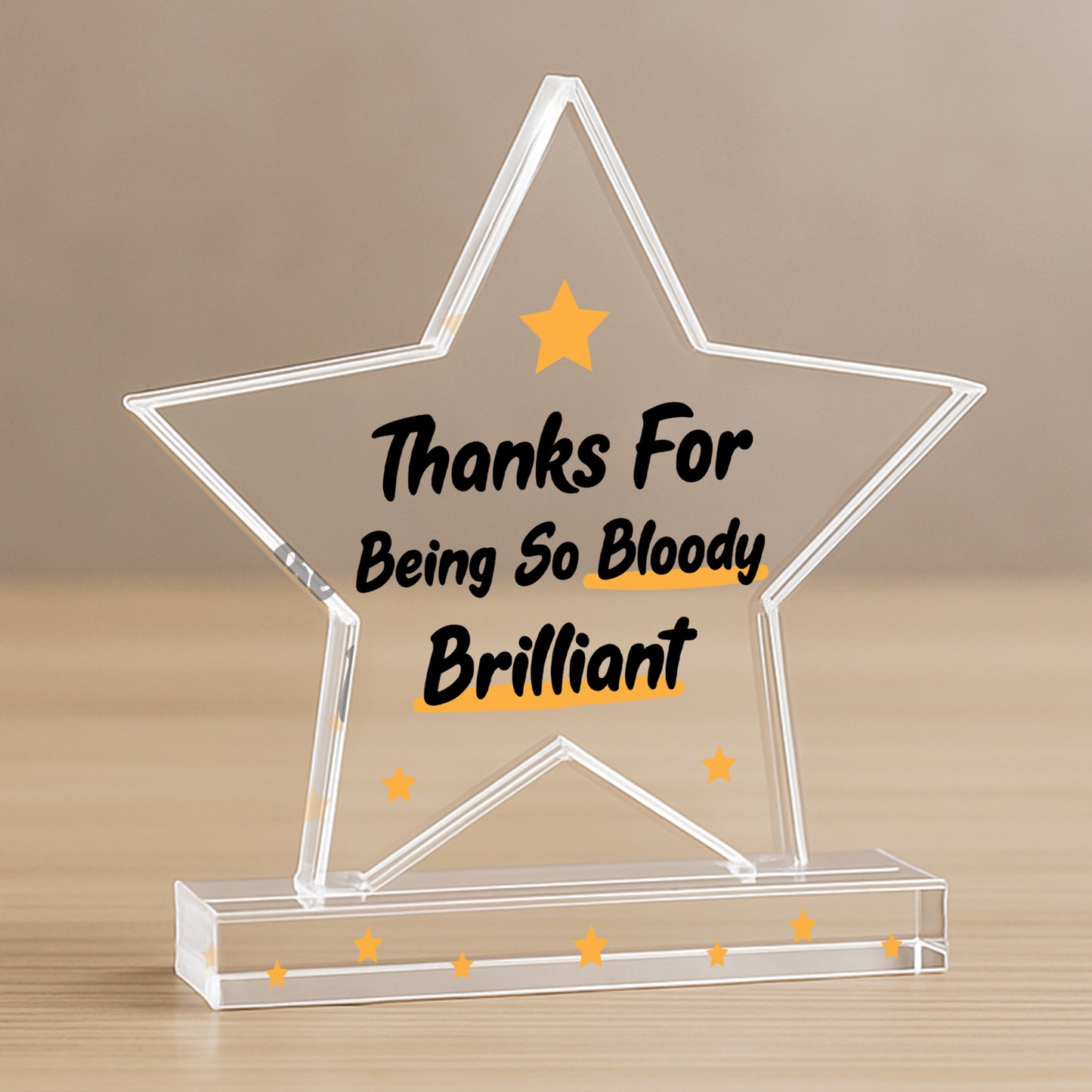Appreciation Gifts For Him Her Thank You Gifts Brilliant Plaque